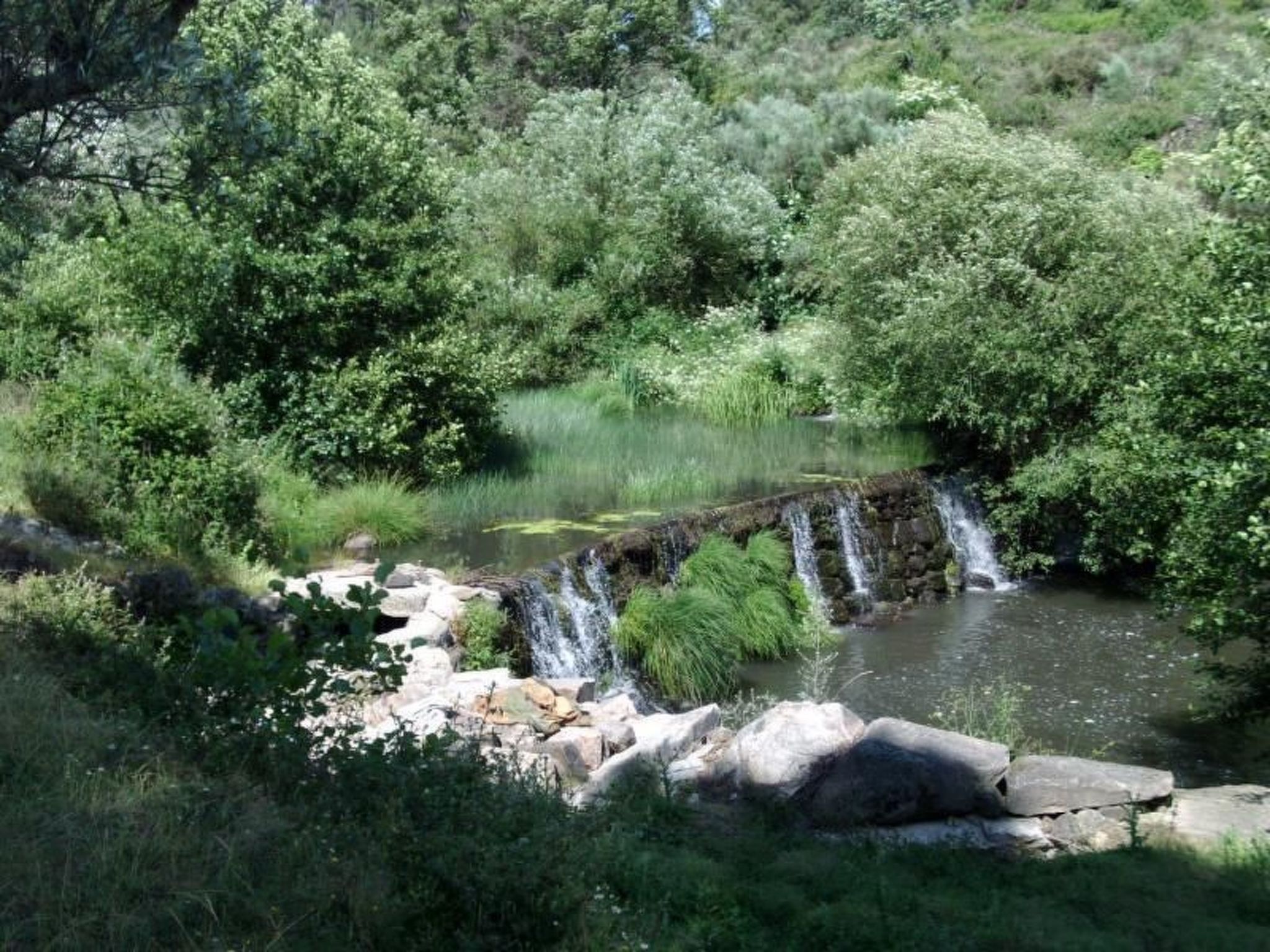 Ferien auf dem Bauernhof mit Weinberg