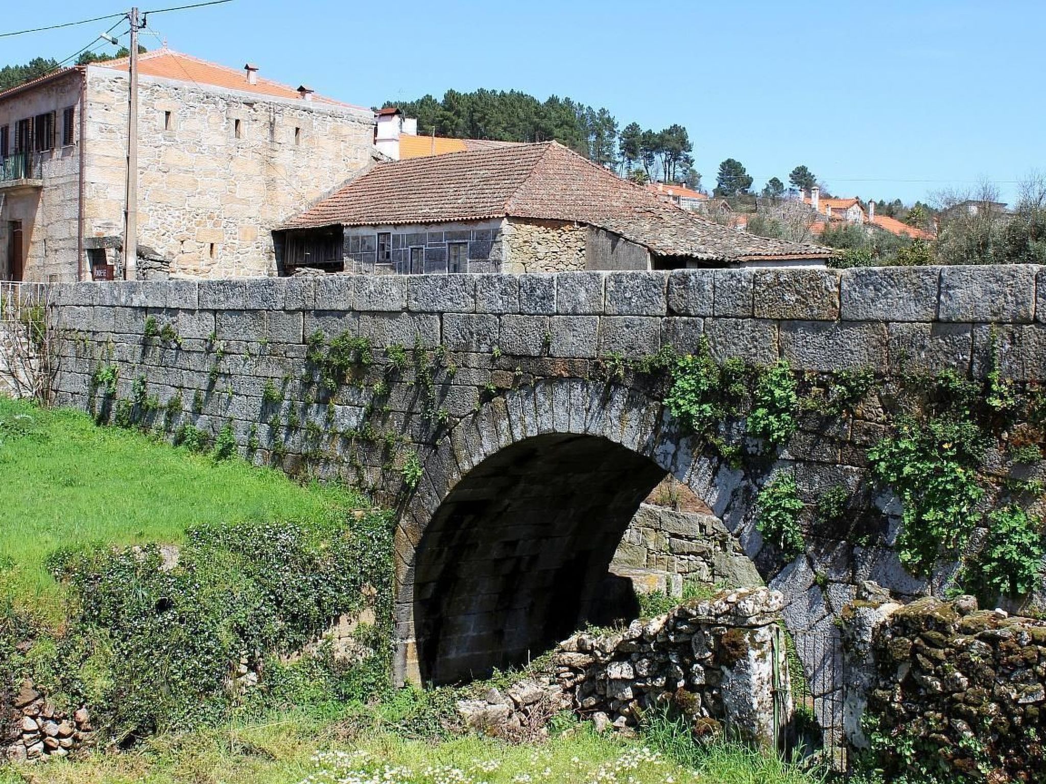 Ferien auf dem Bauernhof mit Weinberg-Inside