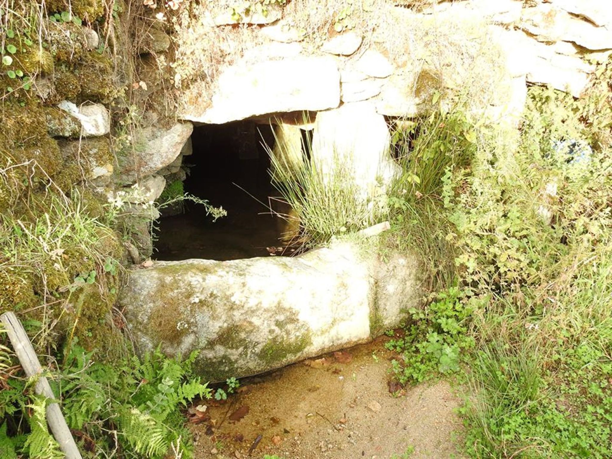 Ferien auf dem Bauernhof mit Weinberg-Inside
