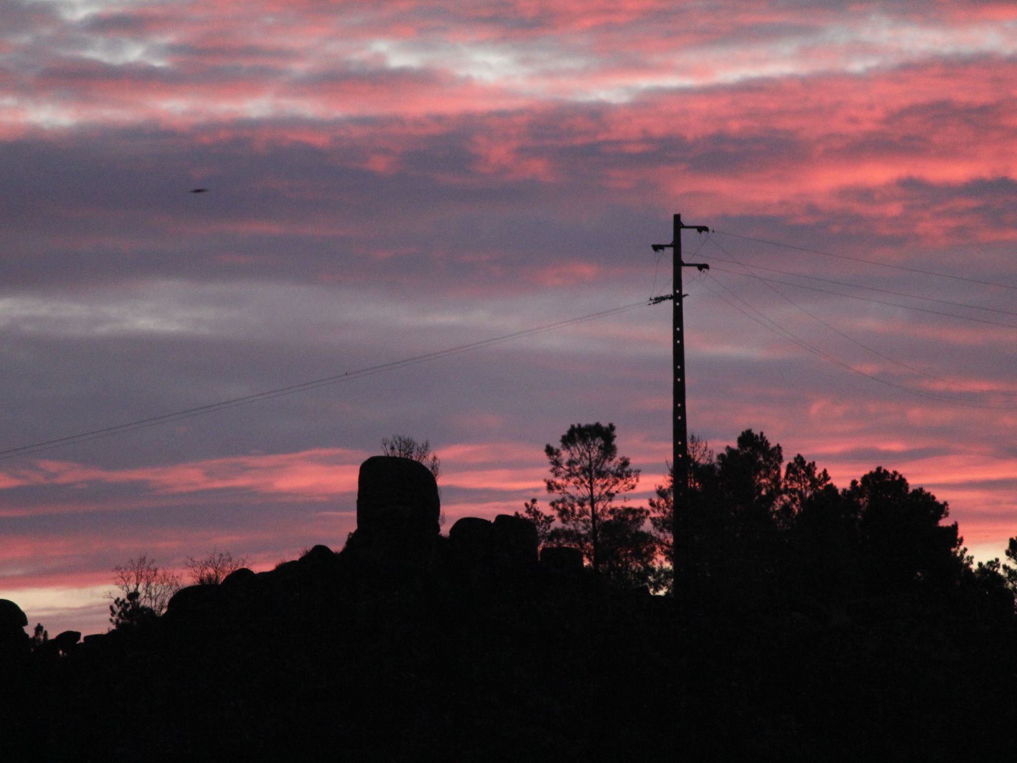 Ferien auf dem Bauernhof mit Weinberg-Inside
