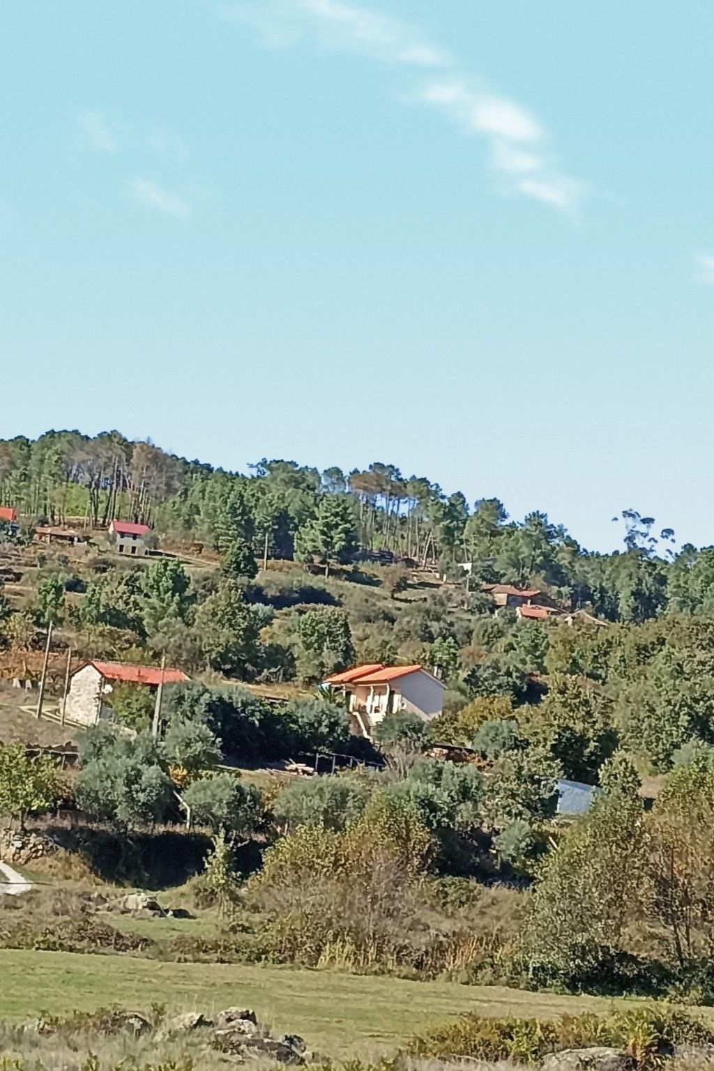 Ferien auf dem Bauernhof mit Weinberg-Inside