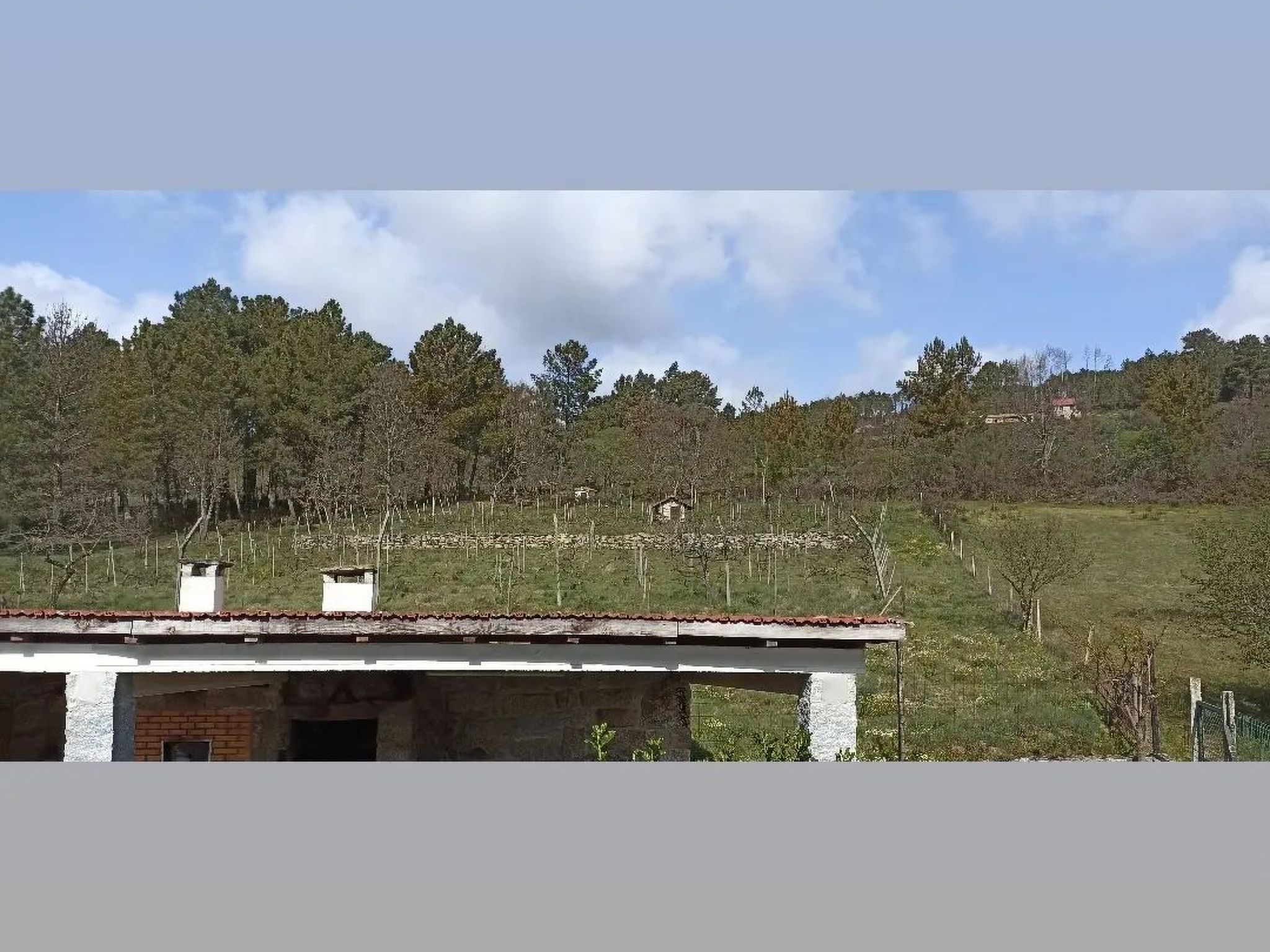 Ferien auf dem Bauernhof mit Weinberg-Inside