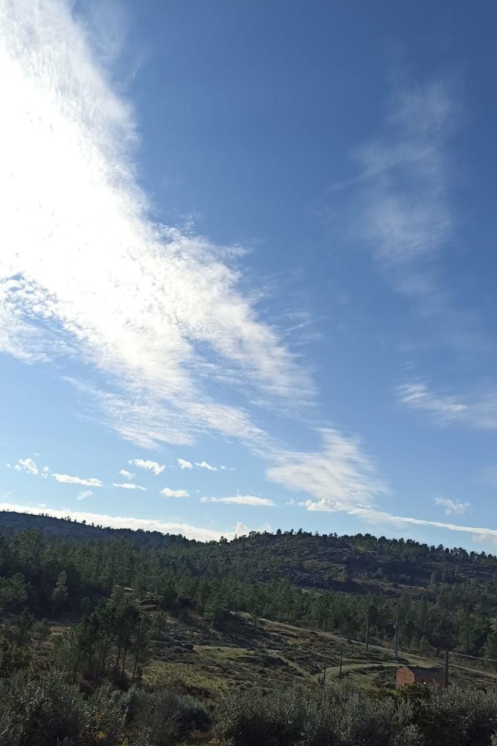 Ferien auf dem Bauernhof mit Weinberg-Inside