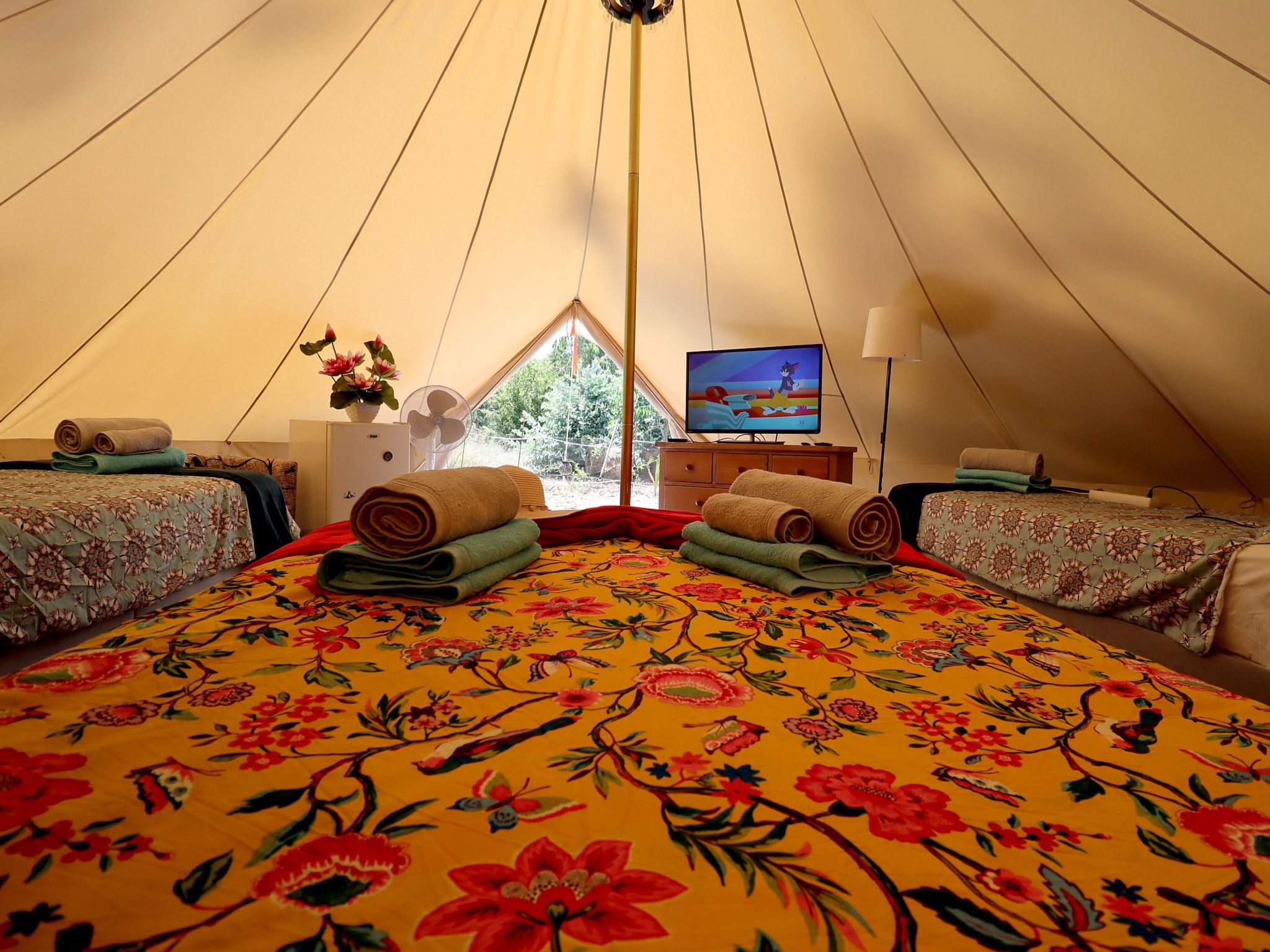 Privates, luxuriöses Glamping mit solarbeheiztem Schwimmbad Tv und Wi-Fi - Drinnen