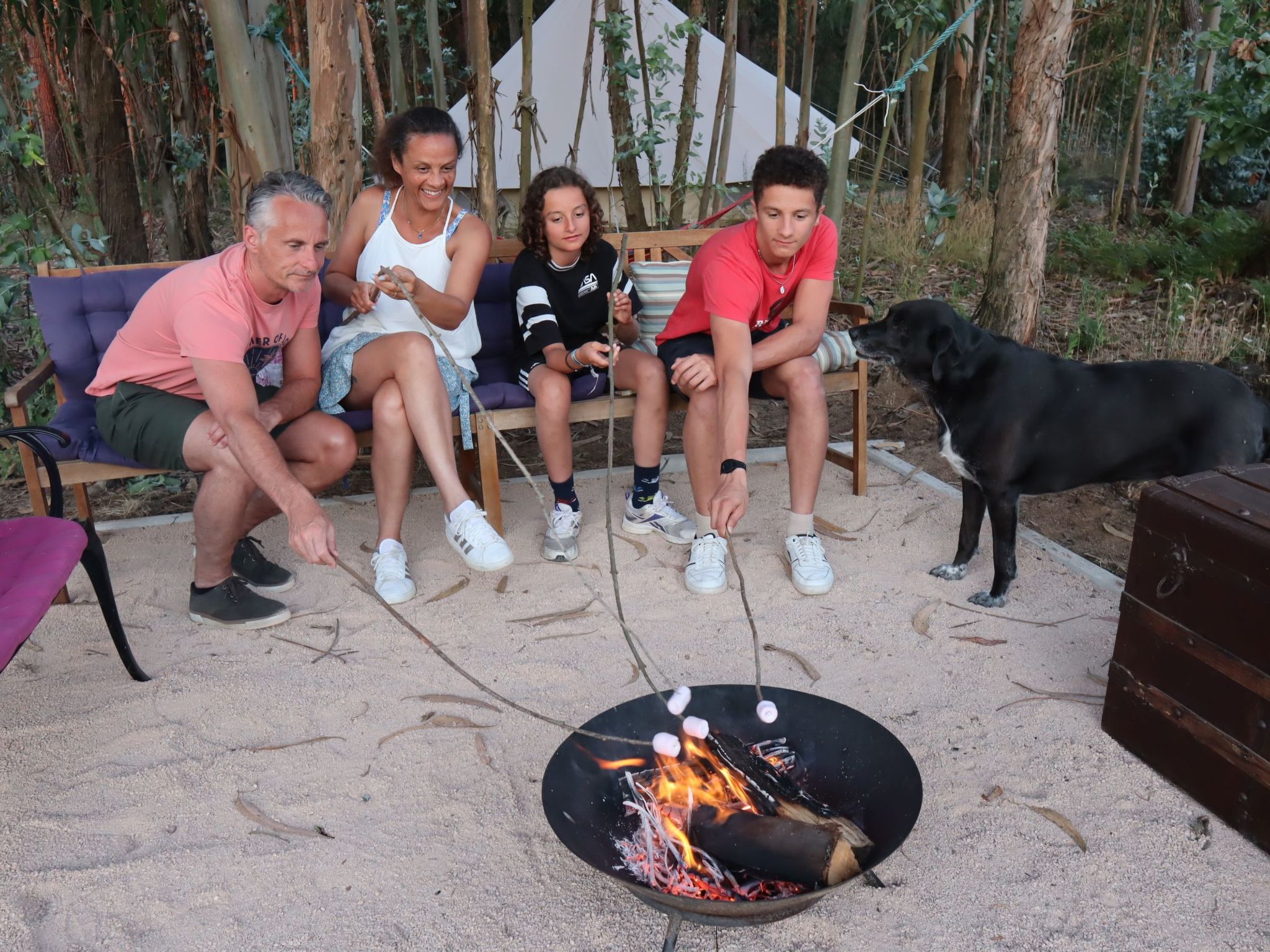 Privates, luxuriöses Glamping mit solarbeheiztem Schwimmbad Tv und Wi-Fi - Draußen