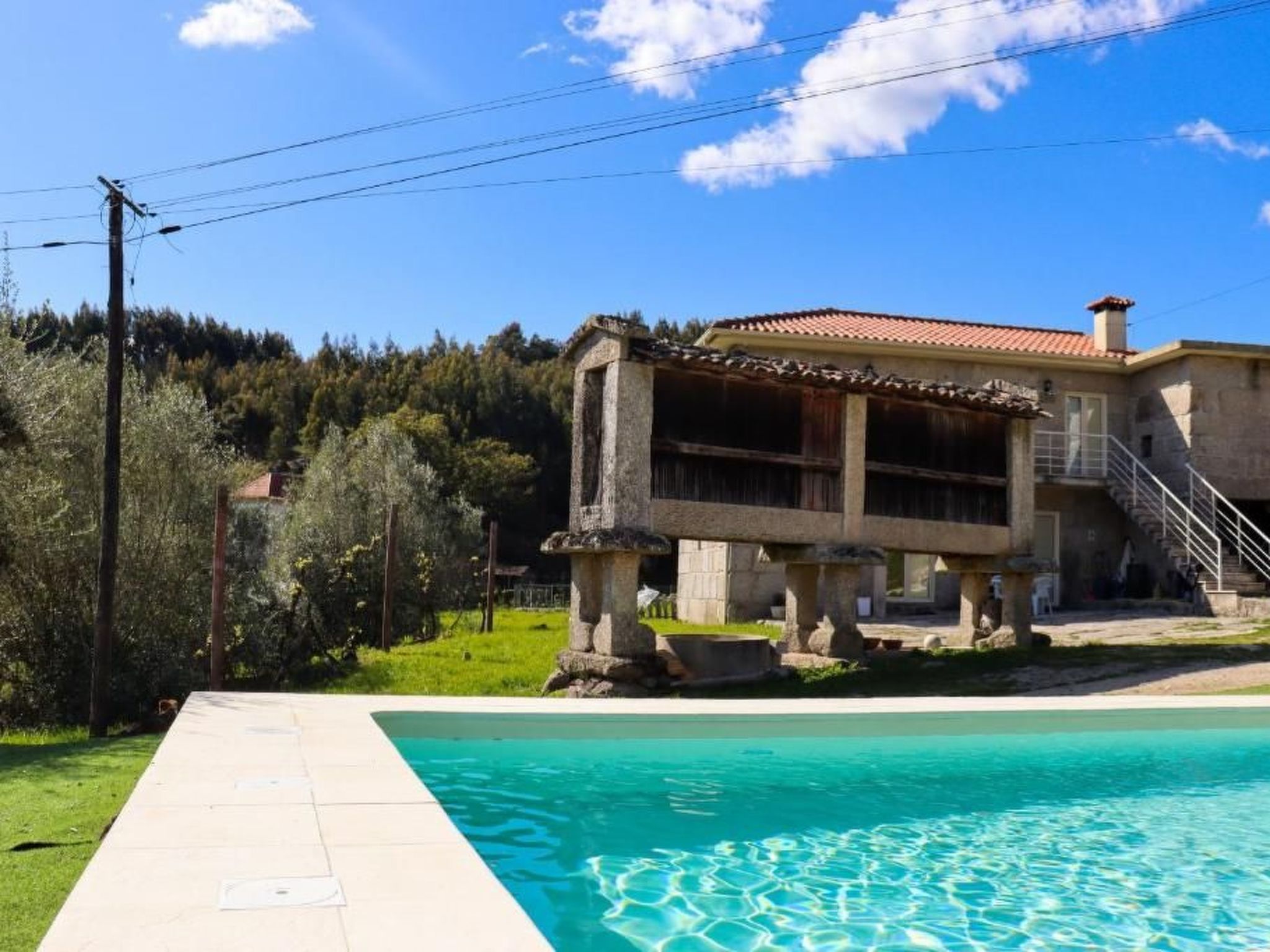 Haus des Orangenbaums-Inside