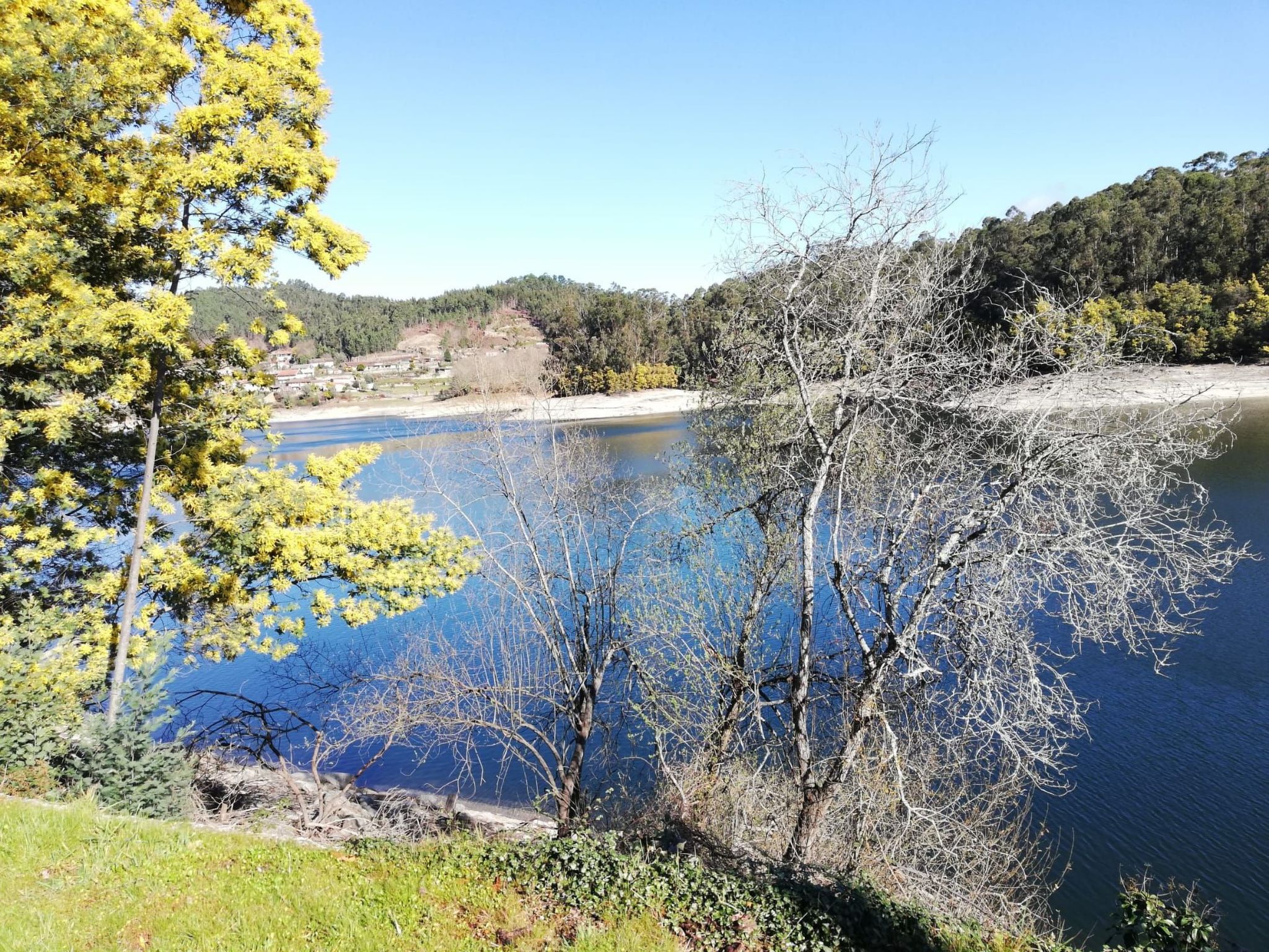 Haus des Orangenbaums-Inside