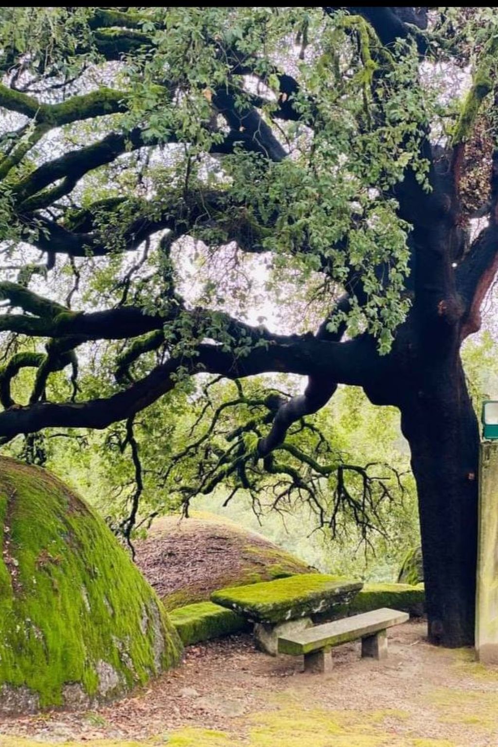 Haus des Orangenbaums-Inside