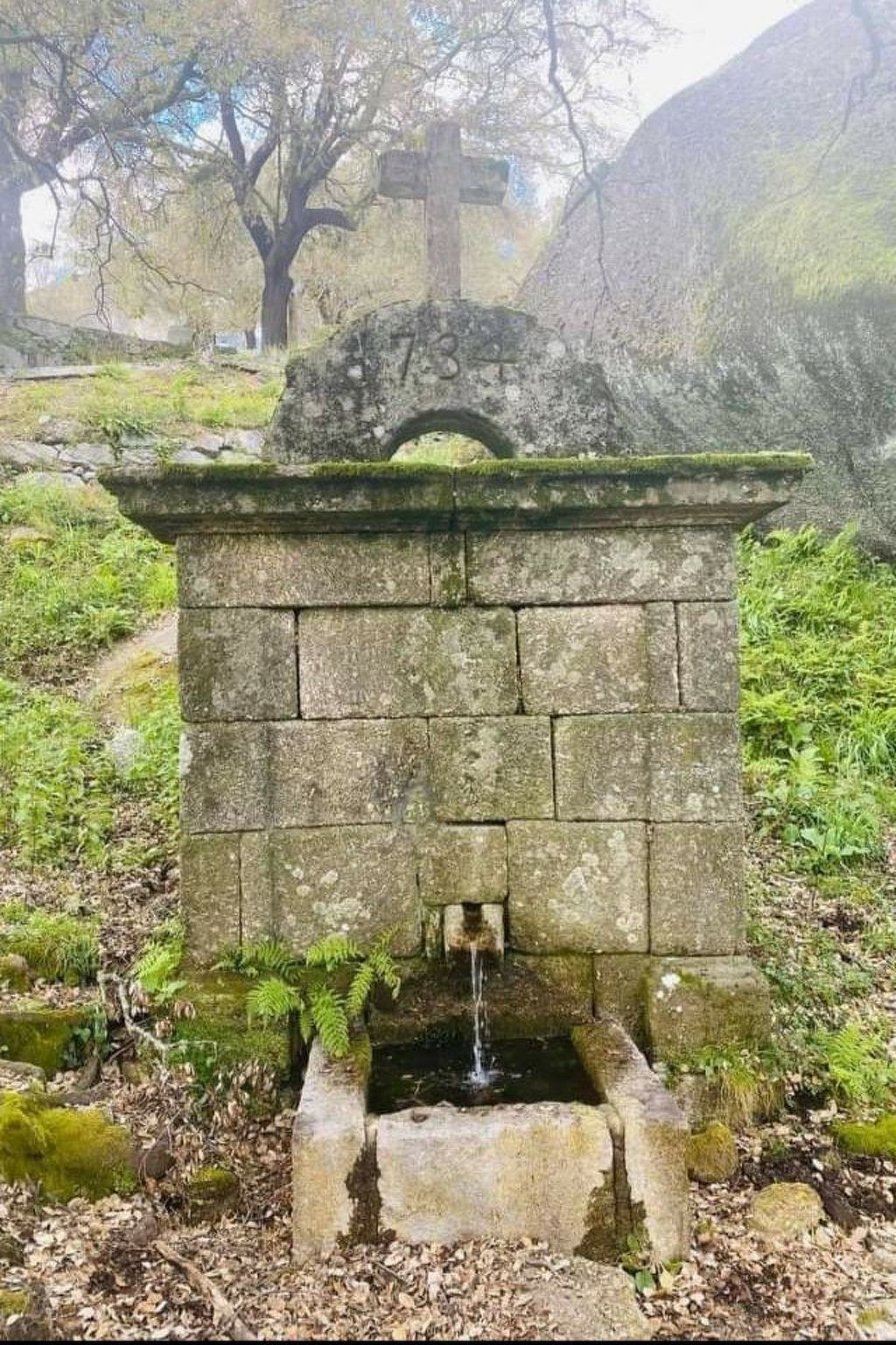 Haus des Orangenbaums-Inside