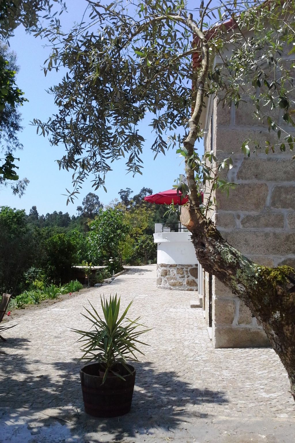 Finca mit Terrasse-Image-tags.info