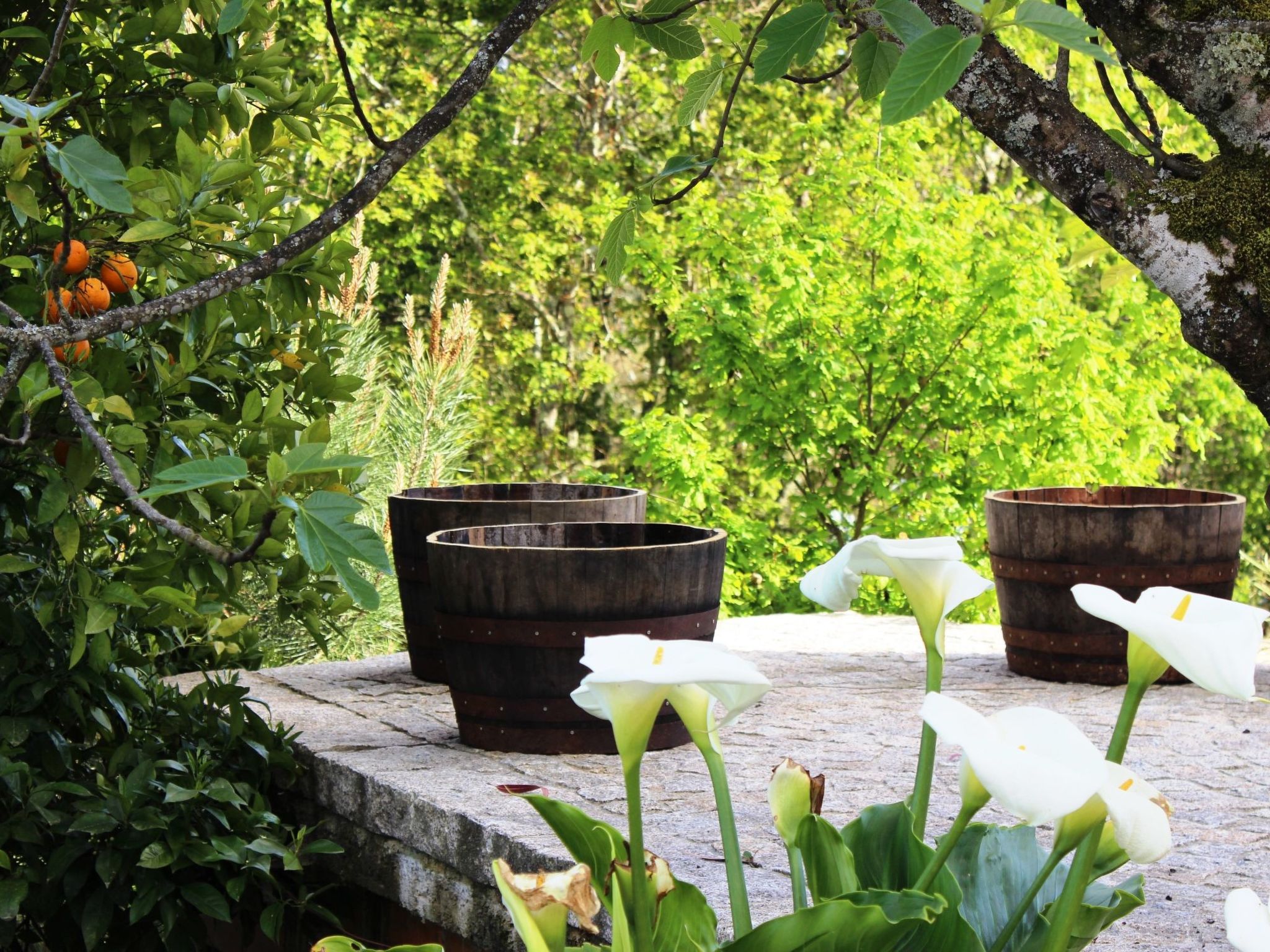 Finca mit Terrasse-Image-tags.info