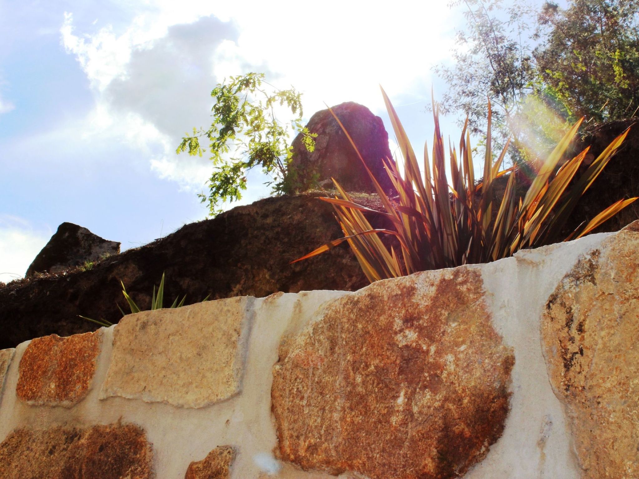 Großes renoviertes Landhaus in Tondela-Binnen