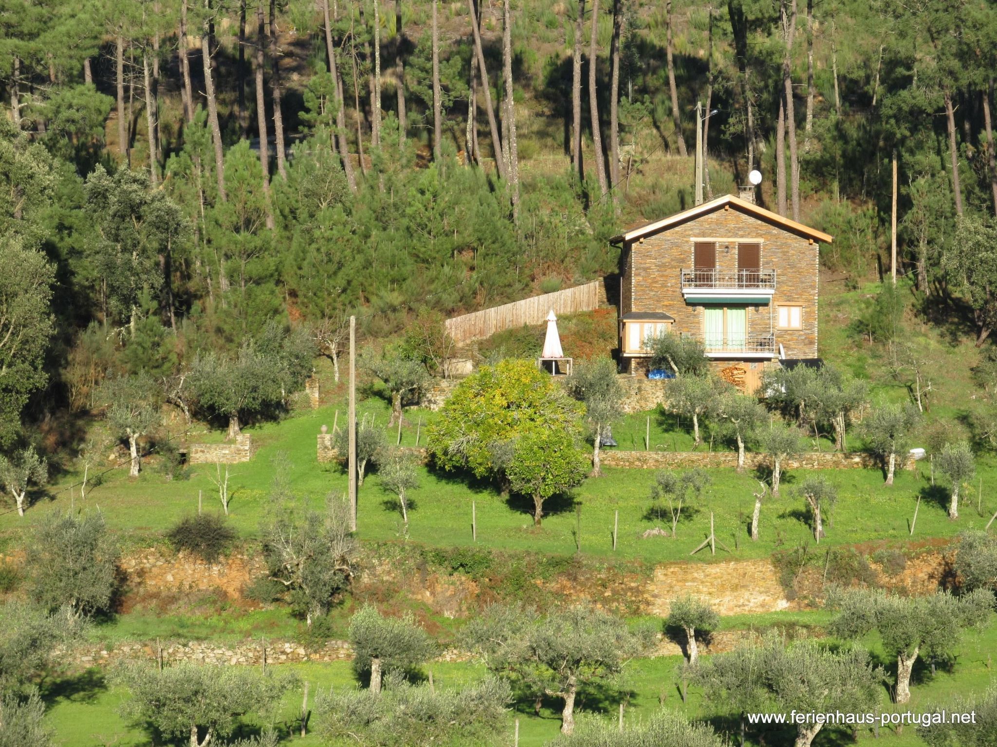 Mit Sonnenterrasse und großem Garten-Binnen