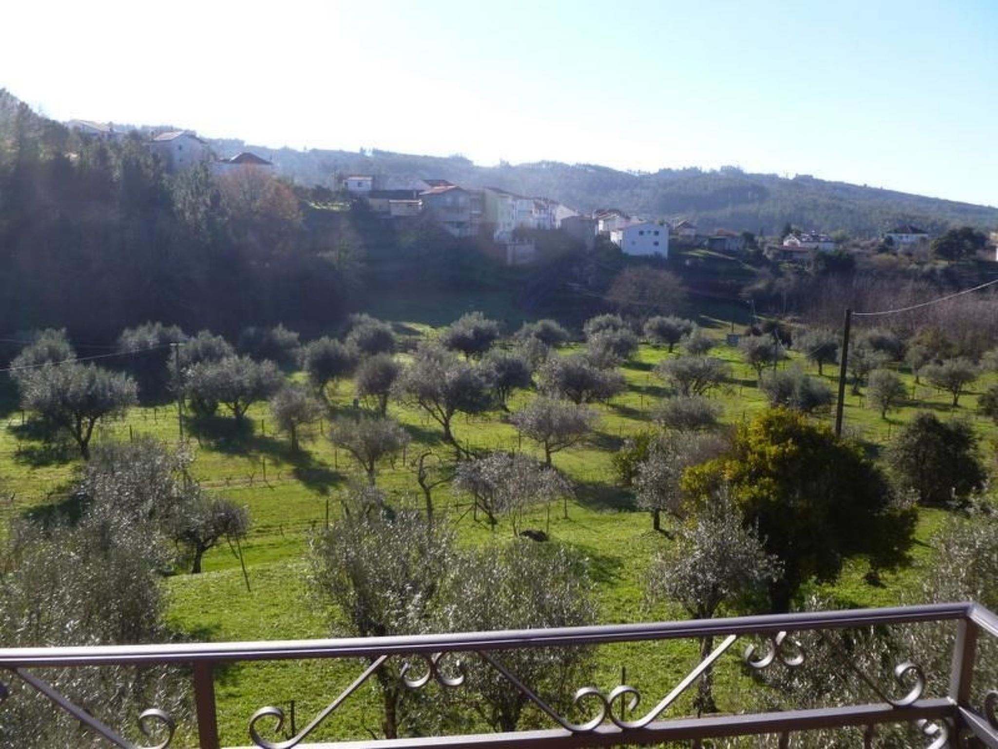 Mit Sonnenterrasse und großem Garten-Binnen