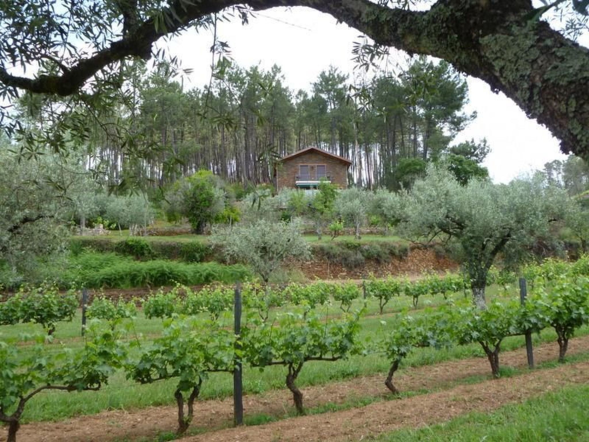 Mit Sonnenterrasse und großem Garten-Binnen