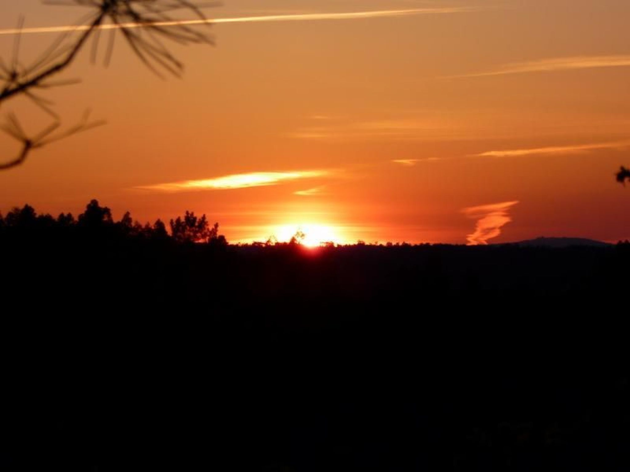 Mit Sonnenterrasse und großem Garten-Binnen