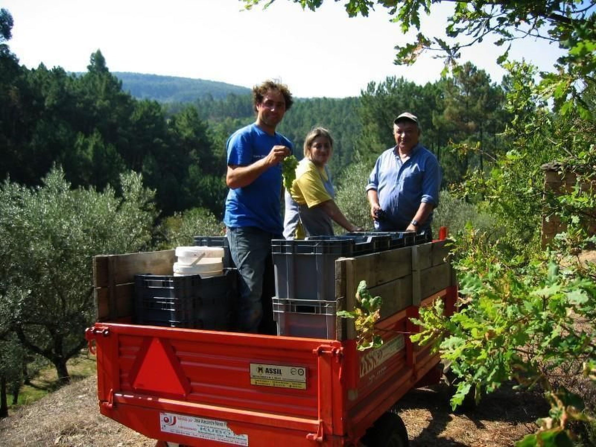 Mit Sonnenterrasse und großem Garten-Binnen