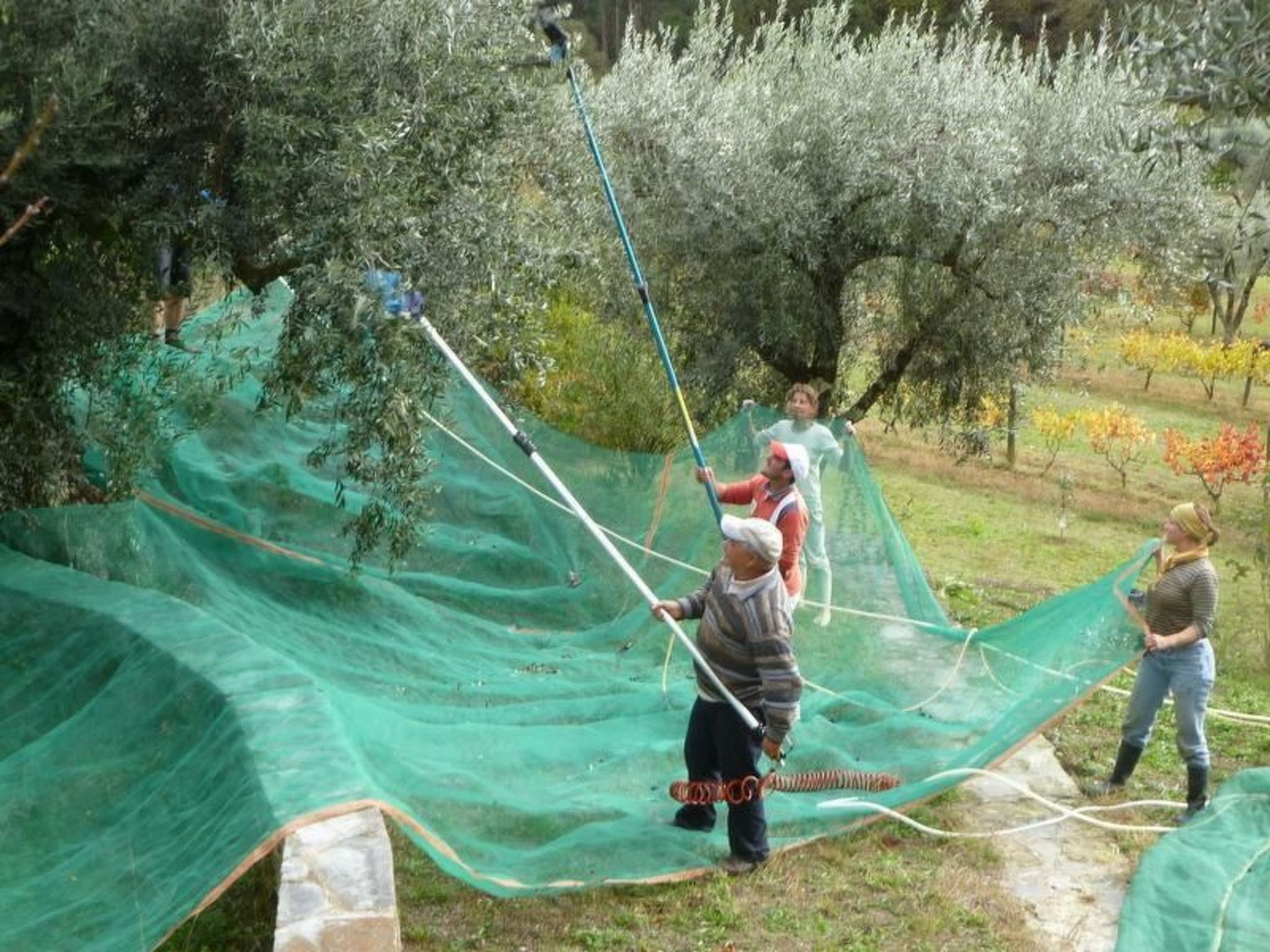 Mit Sonnenterrasse und großem Garten-Binnen