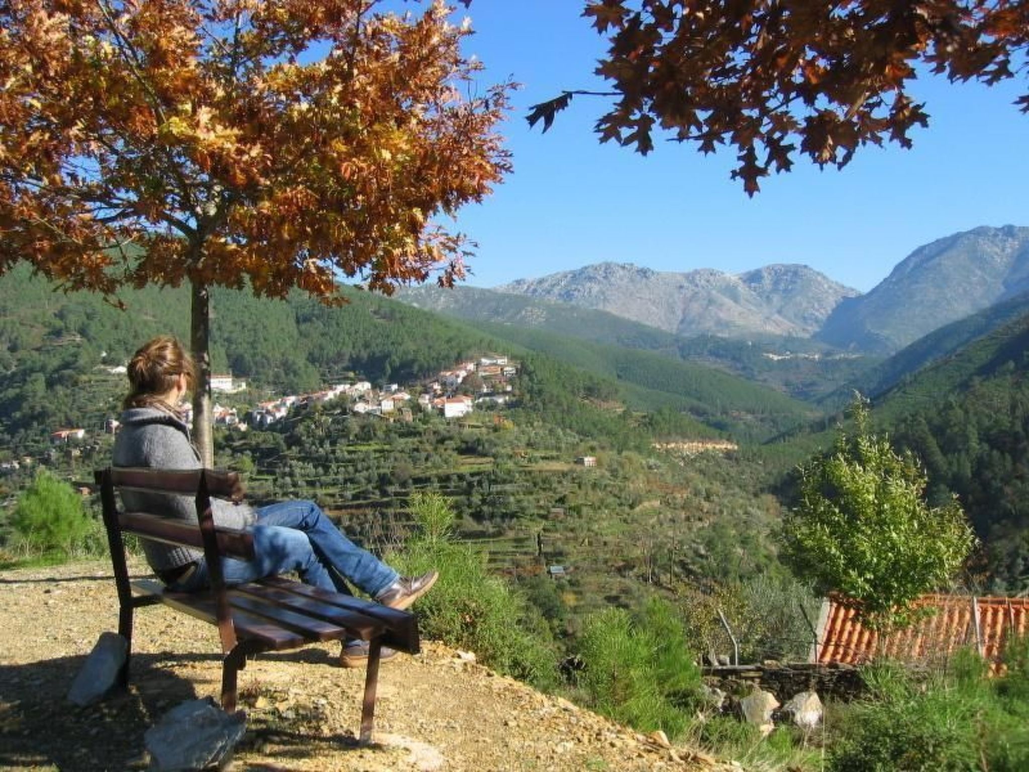 Mit Sonnenterrasse und großem Garten-Binnen