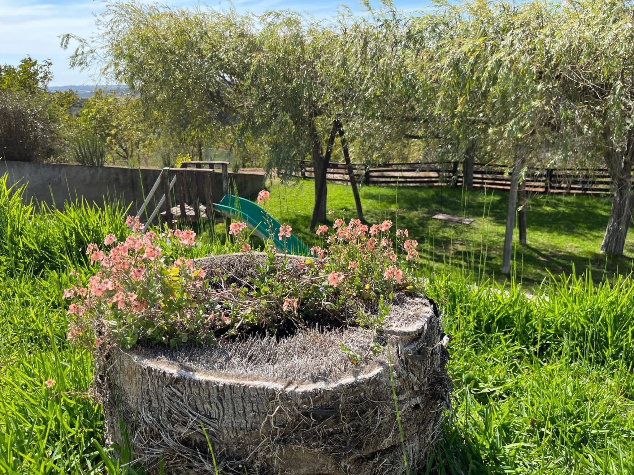Landhaus mit Pool, in der Nähe von Montemor-o-Velho-Image-tags.info