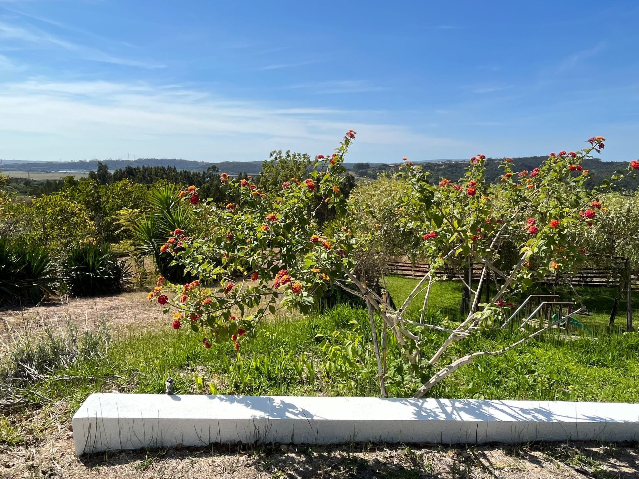 Landhaus mit Pool, in der Nähe von Montemor-o-Velho-Image-tags.info