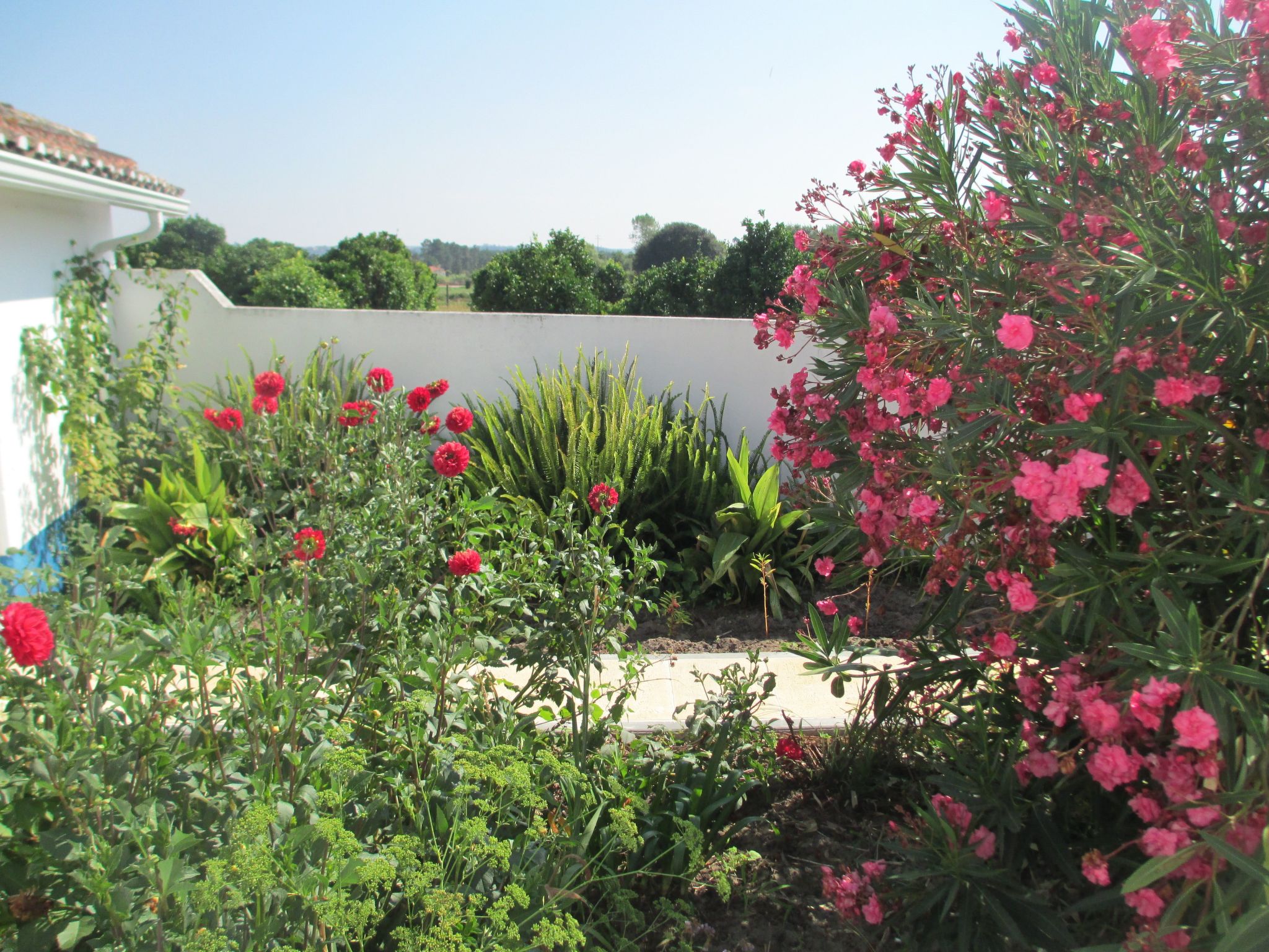 In Coimbrão mit Eigenem Pool-Image-tags.info