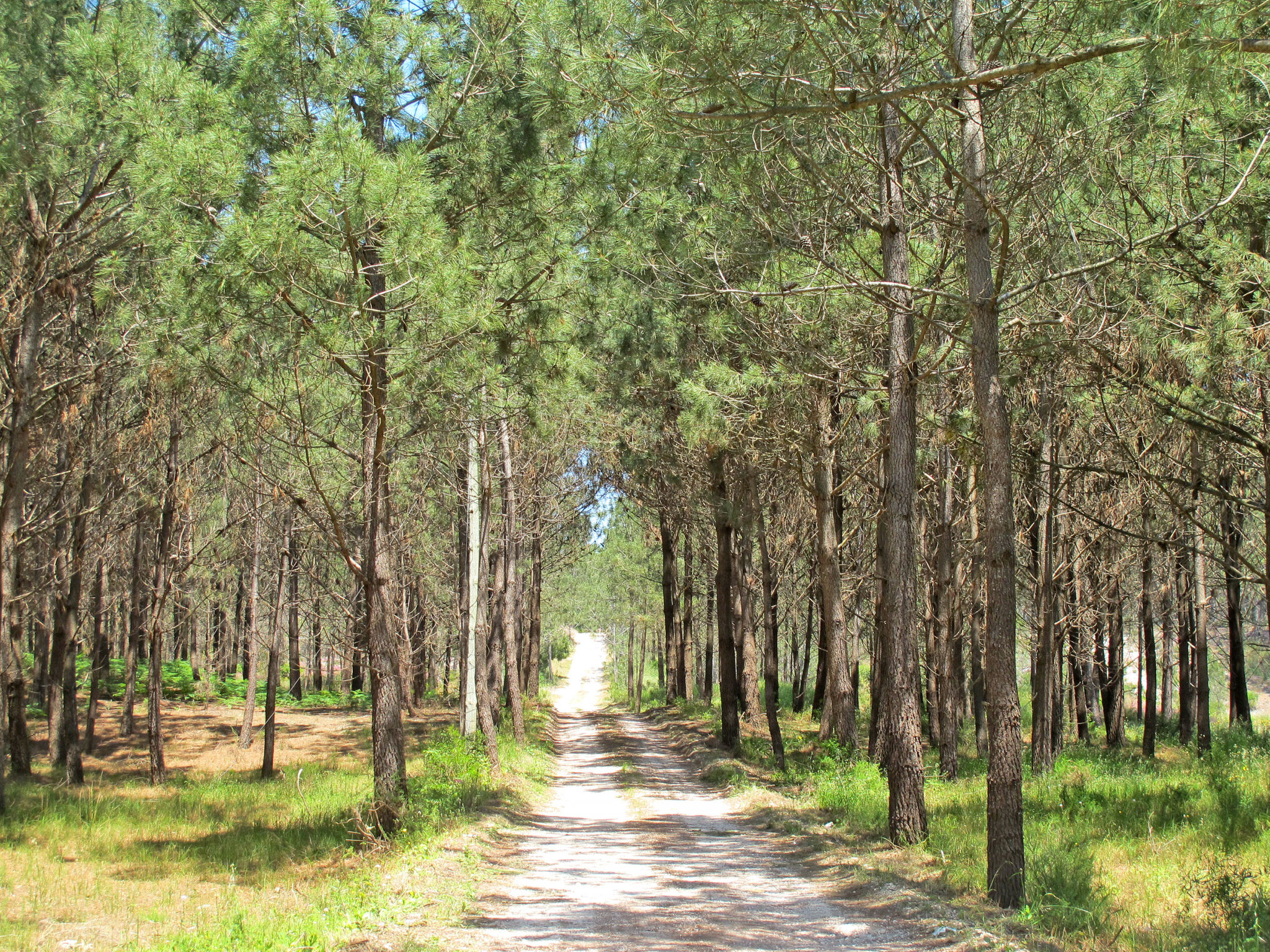 In Coimbrão mit Eigenem Pool-Omgeving