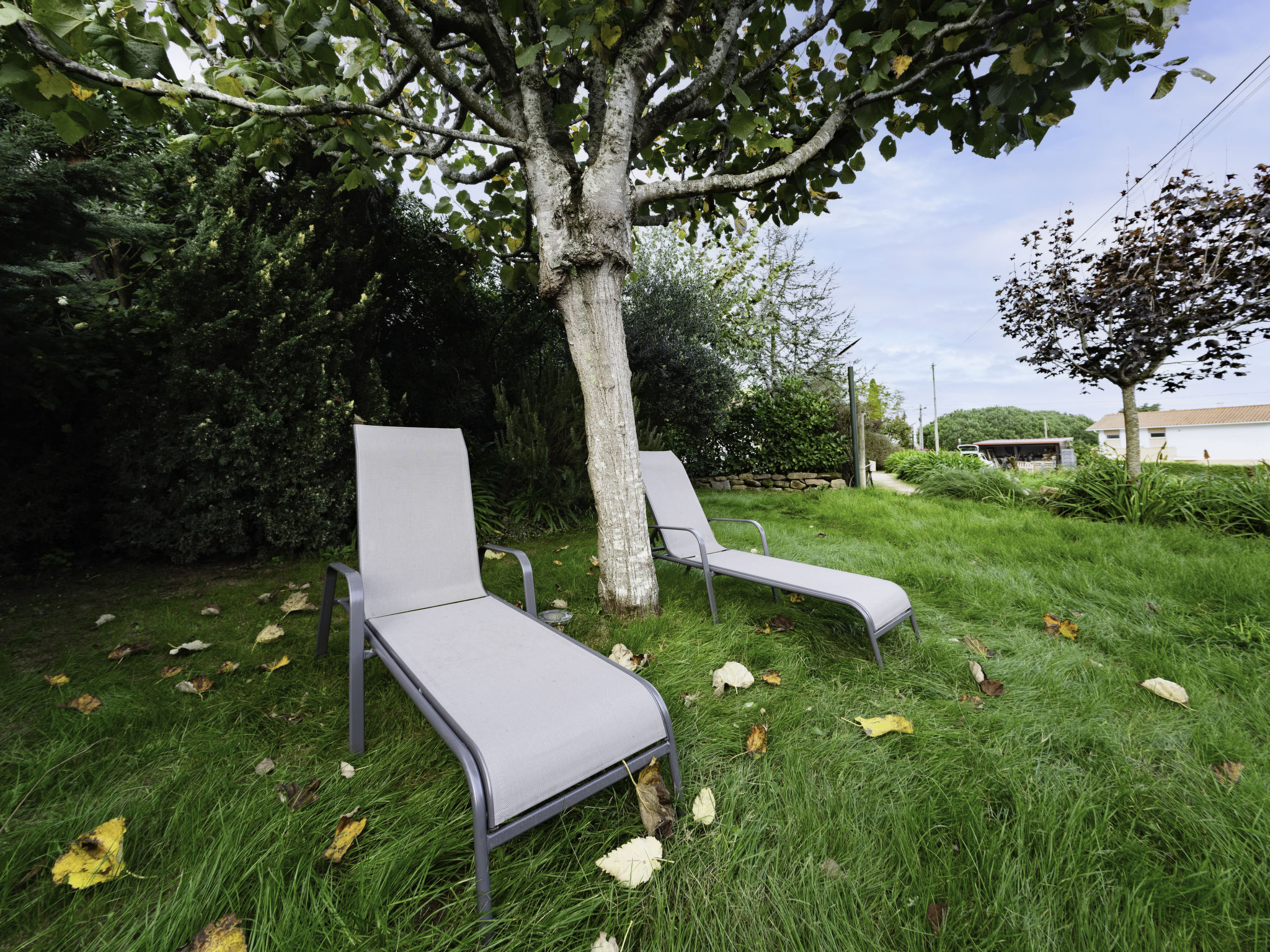 Holiday Rental Accommodation