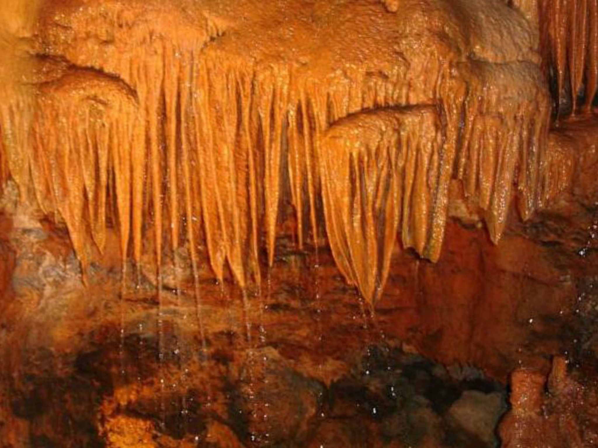 Landhaus "Alcobaca Villa"-Binnen