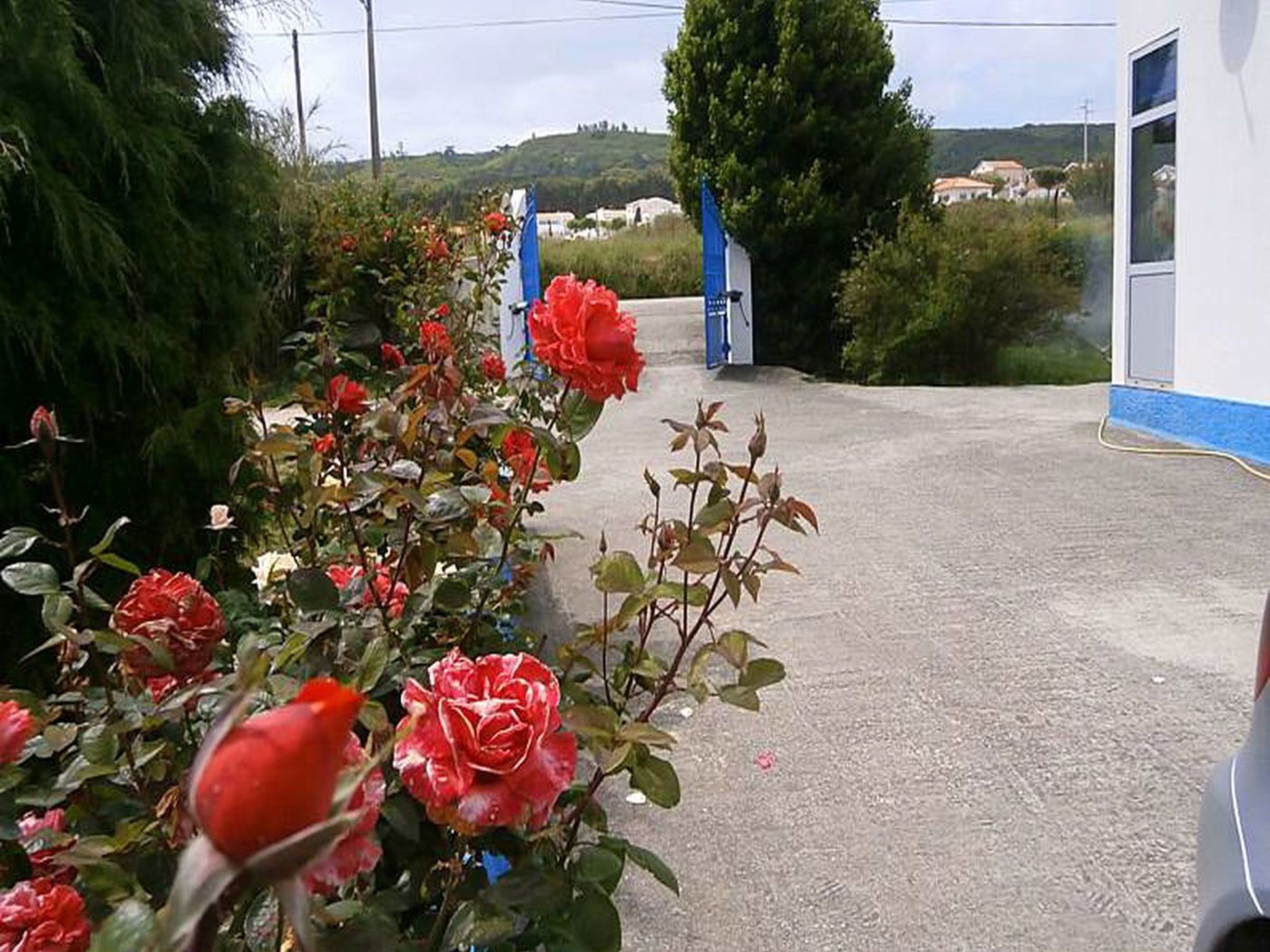 Die typischste Region Portugals-Dedans