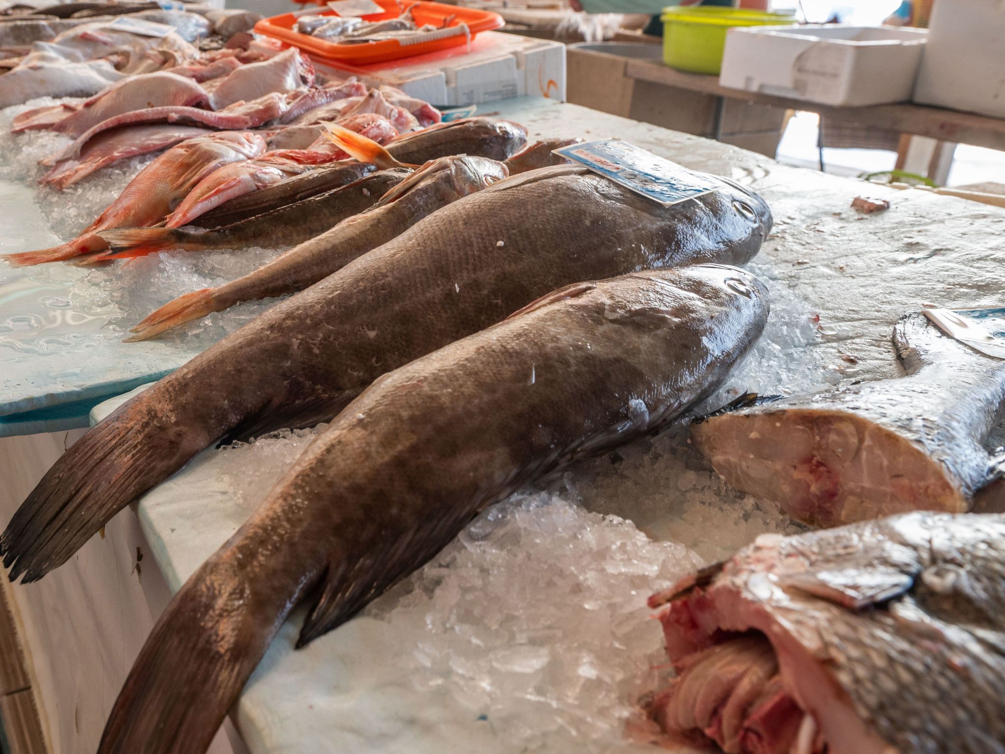 Mit Blick auf das Wasser-Image-tags.info