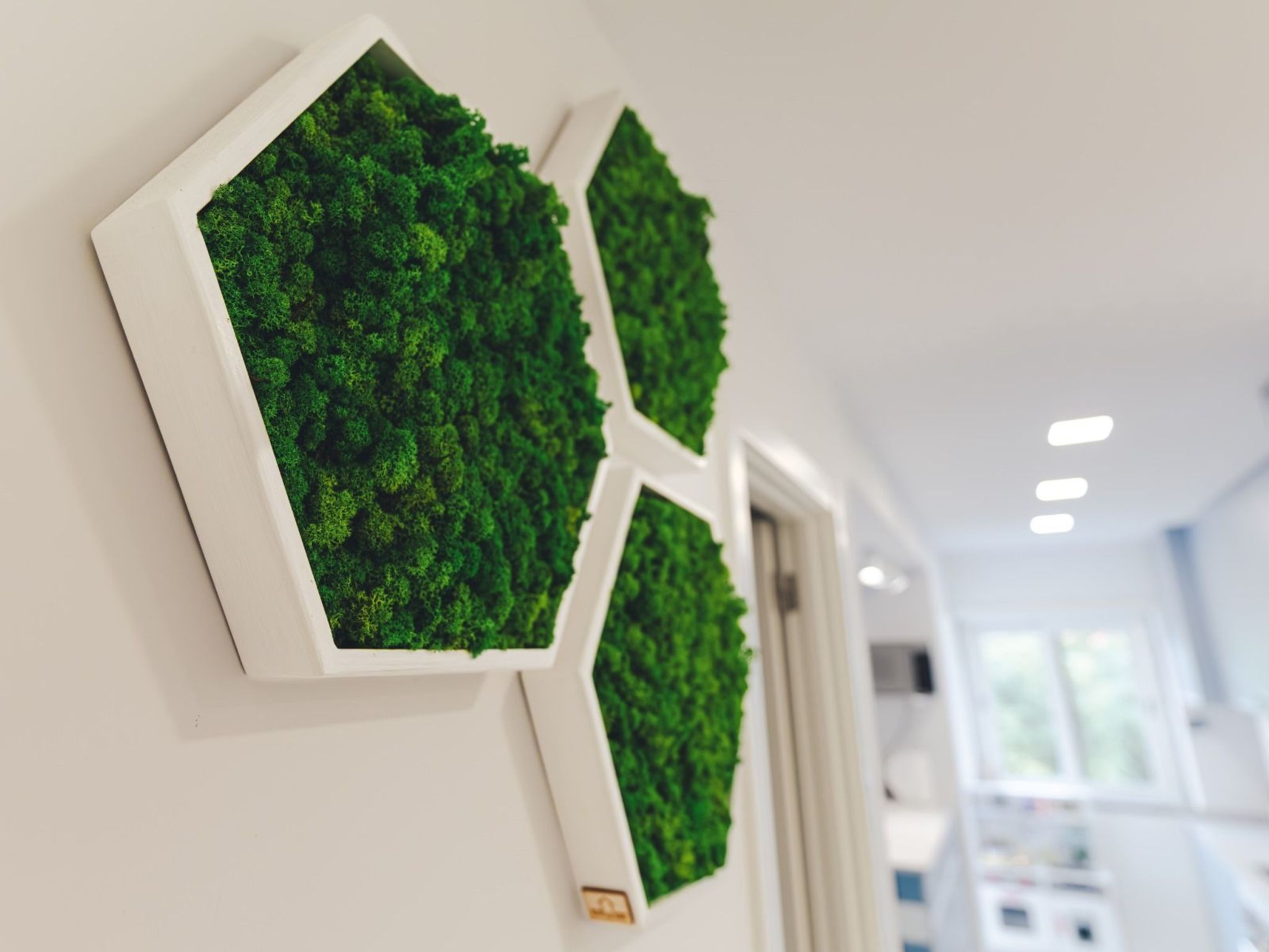 "Haus Beach Waves"-Binnen