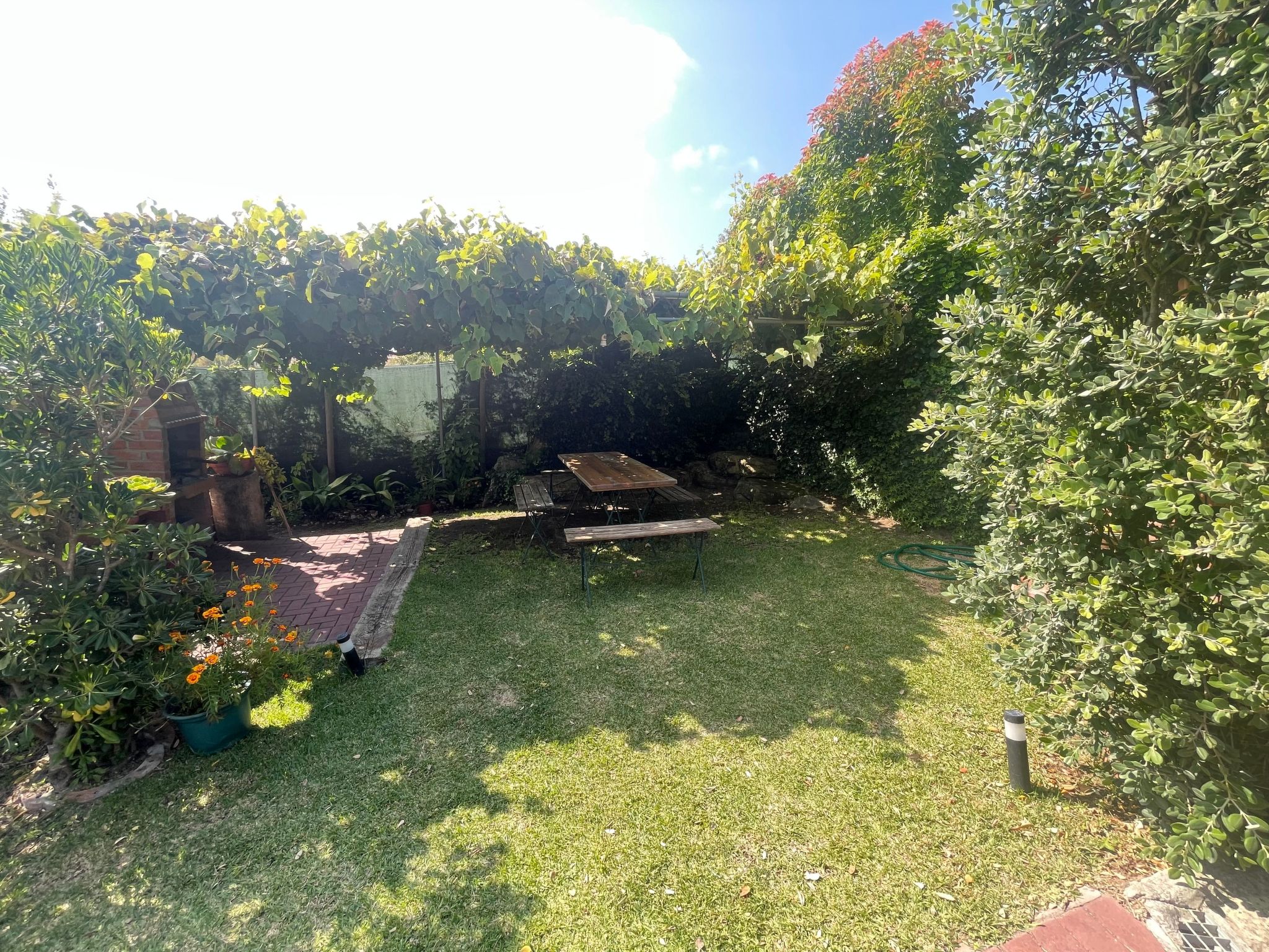 Casa Velha - Charmantes Ferienhaus auf dem Land-Dehors