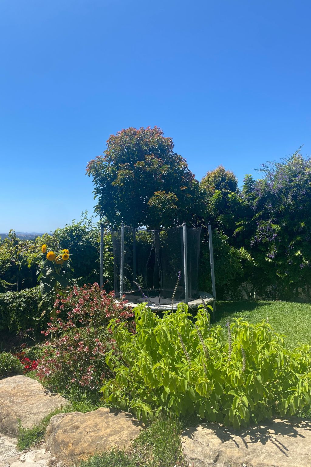 Casa de Forno - Das charmante Ofenhaus-Dehors