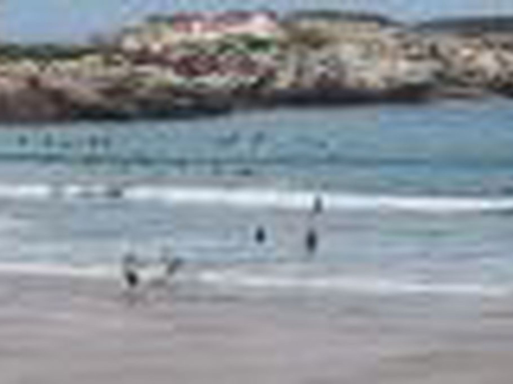 Brandneue Strandwohnung 2-Binnen