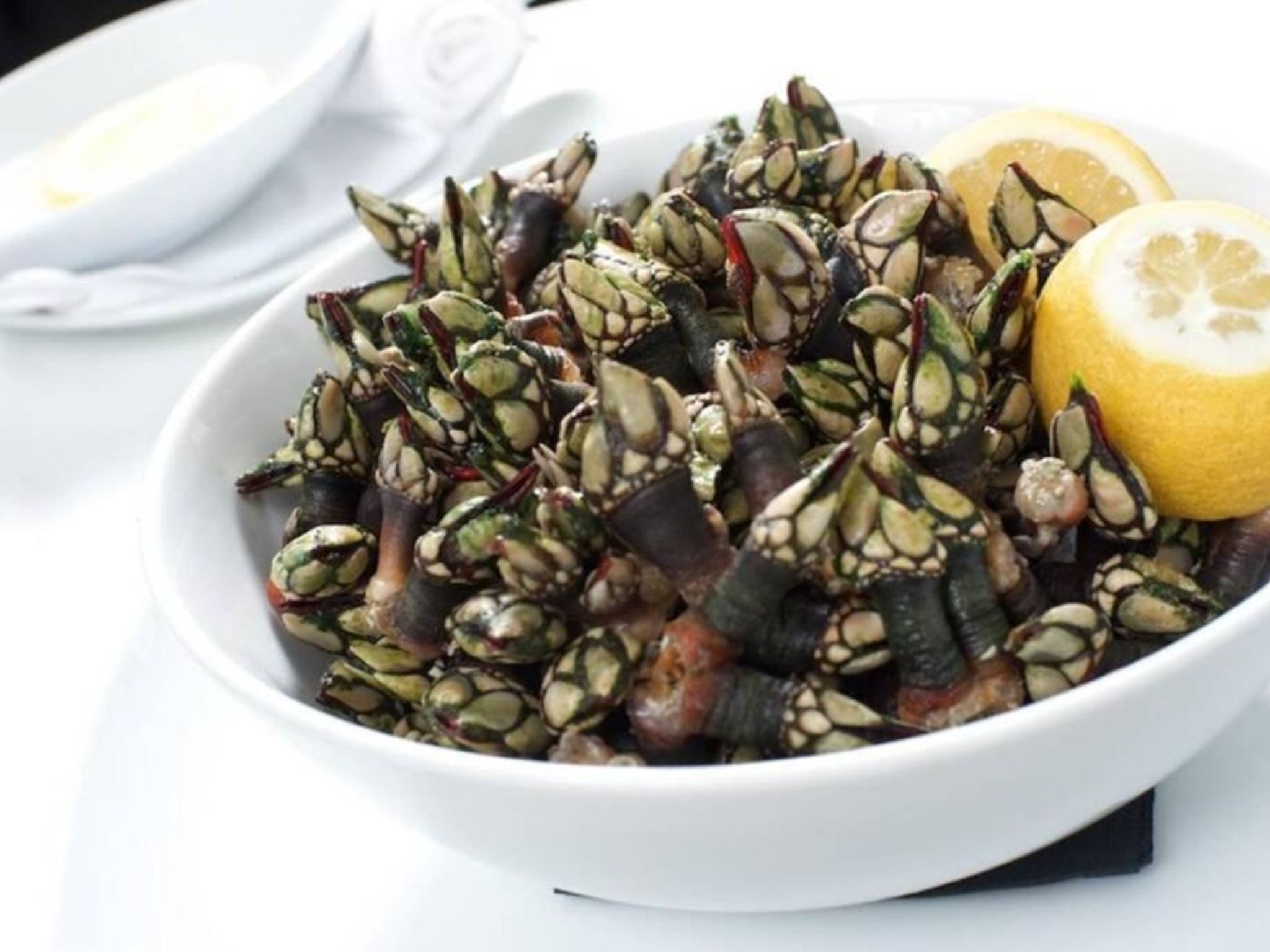 Weißer Sand Balkone-Dedans