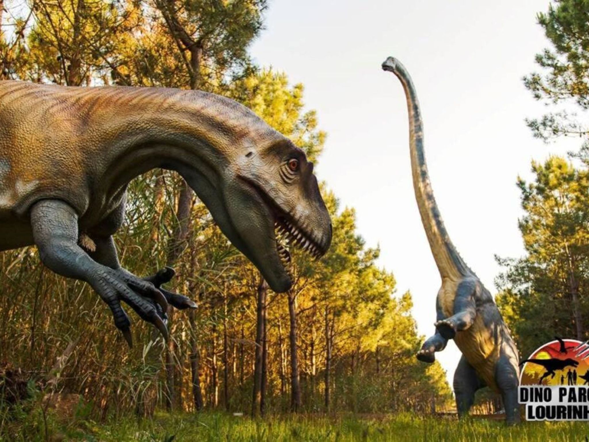 Haus der Sonne-Image-tags.info