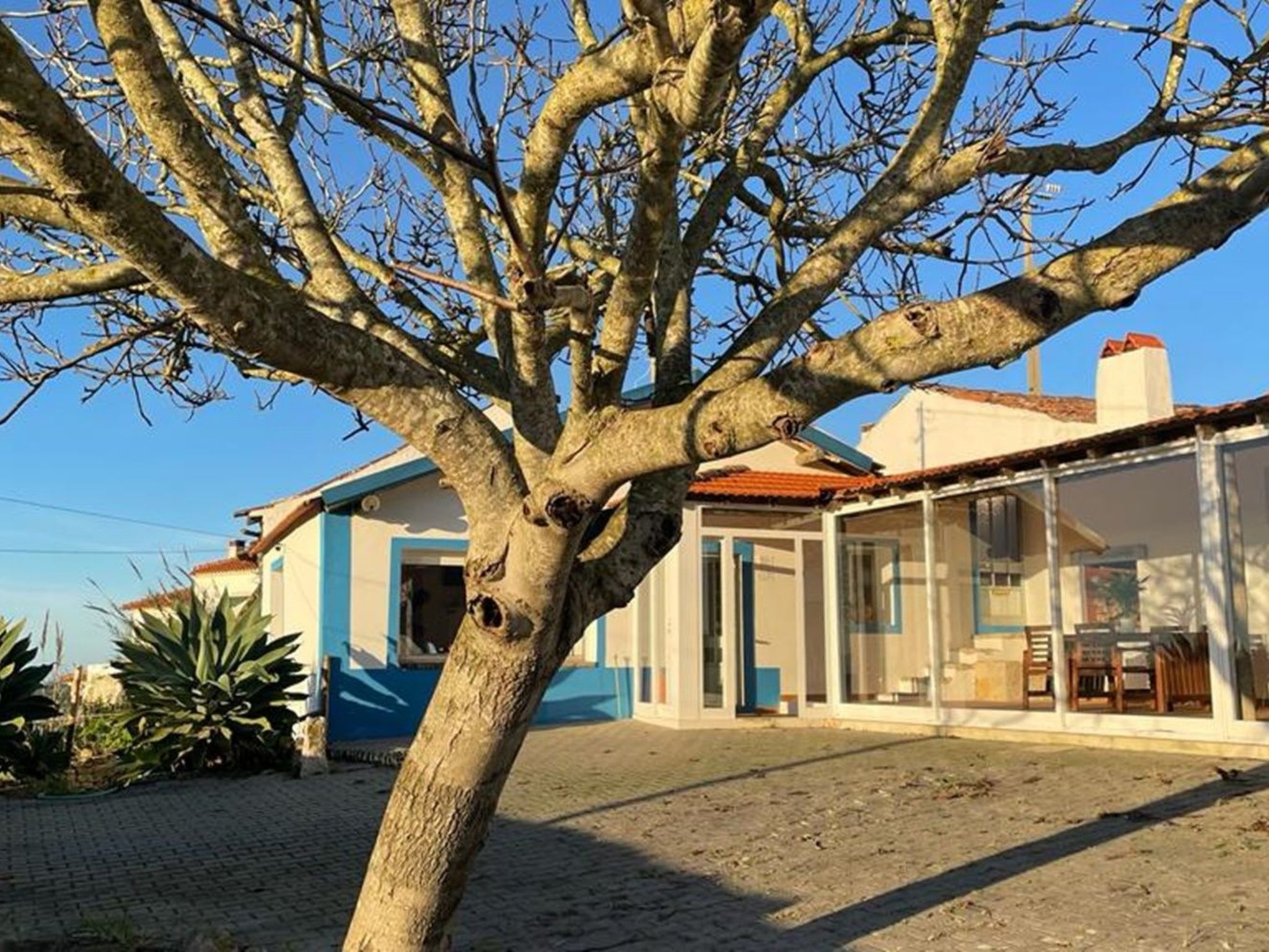 Der Sonnenuntergangs-Spot-Image-tags.info