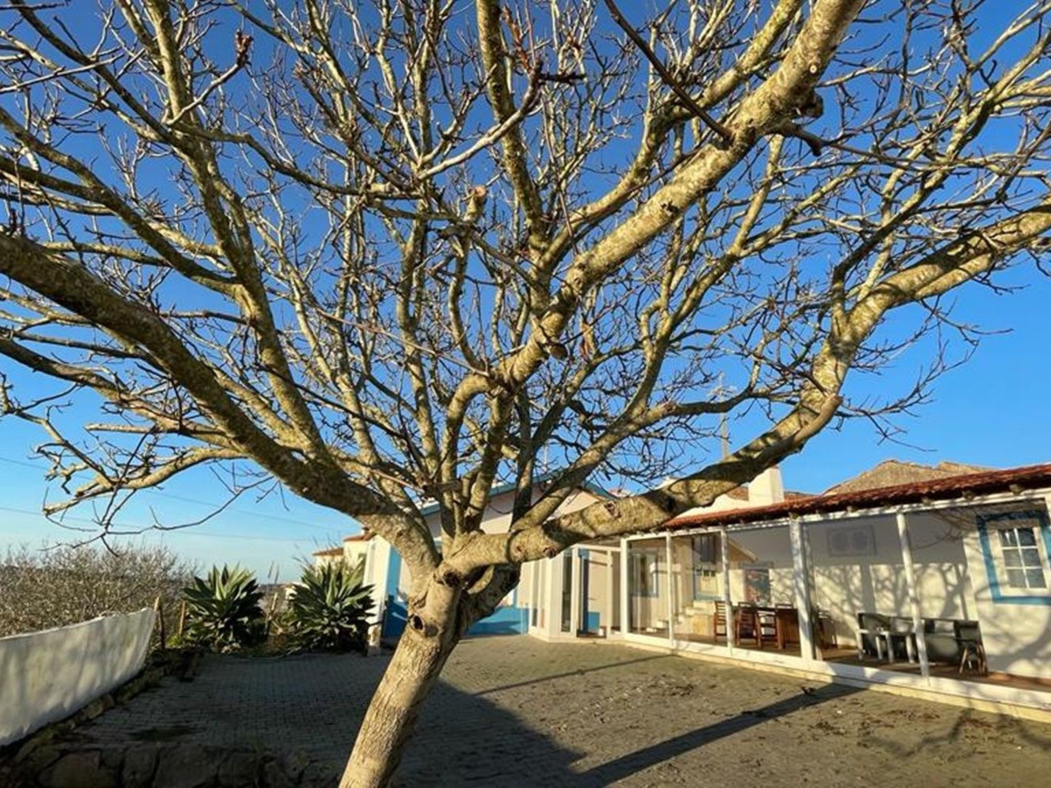 Der Sonnenuntergangs-Spot-Dehors