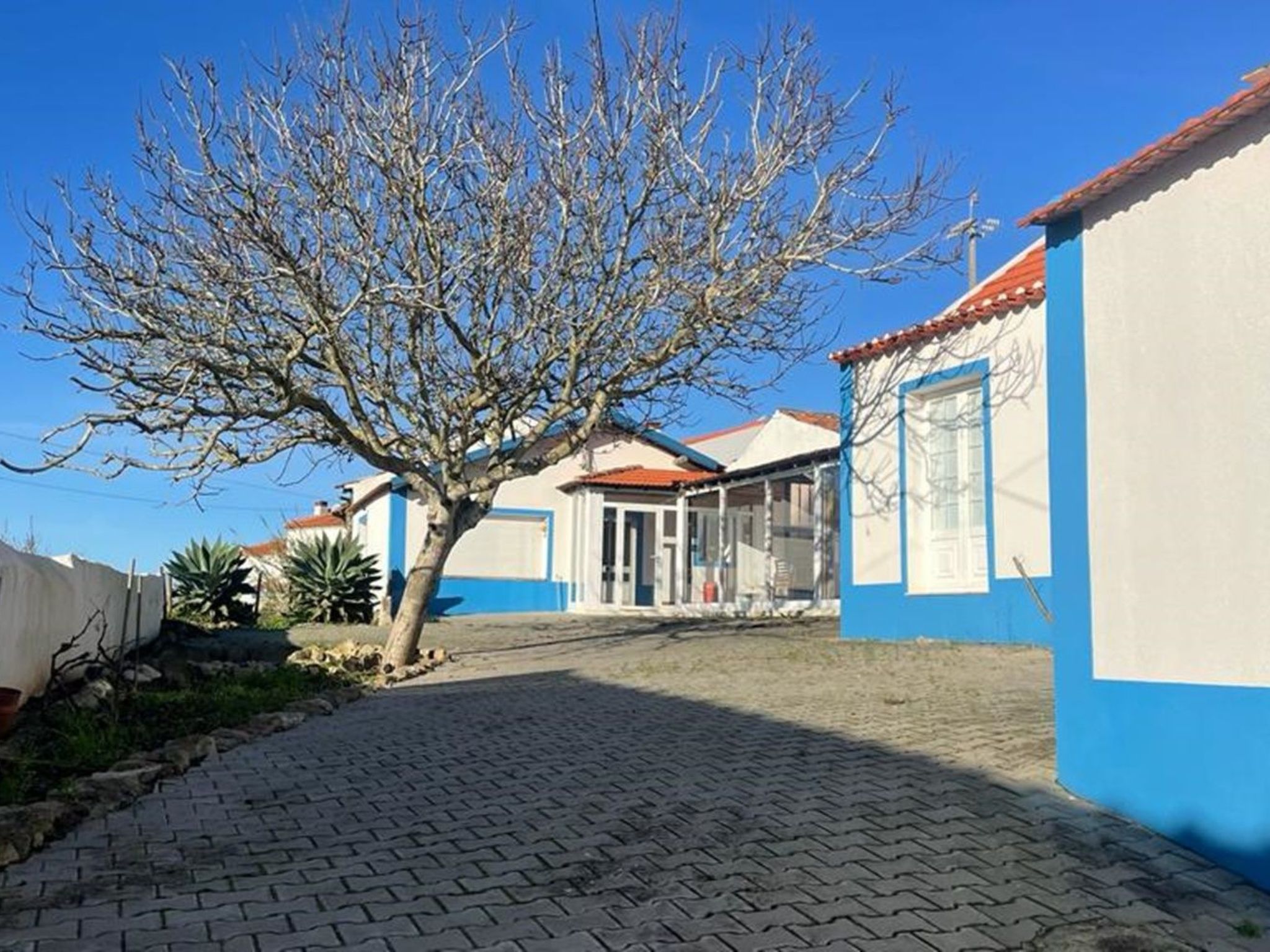 Der Sonnenuntergangs-Spot-Dehors