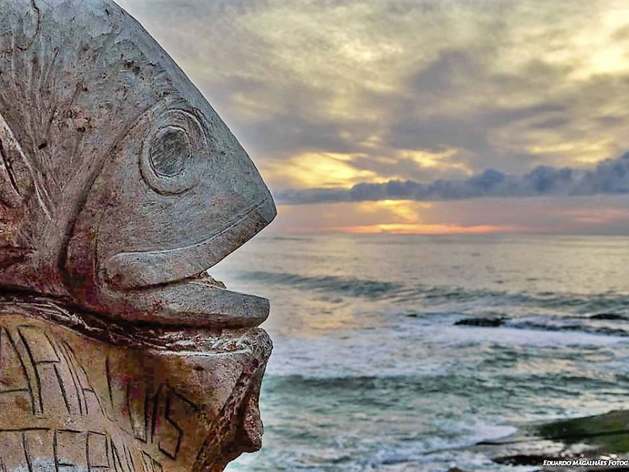 Der Sonnenuntergangs-Spot-Dehors