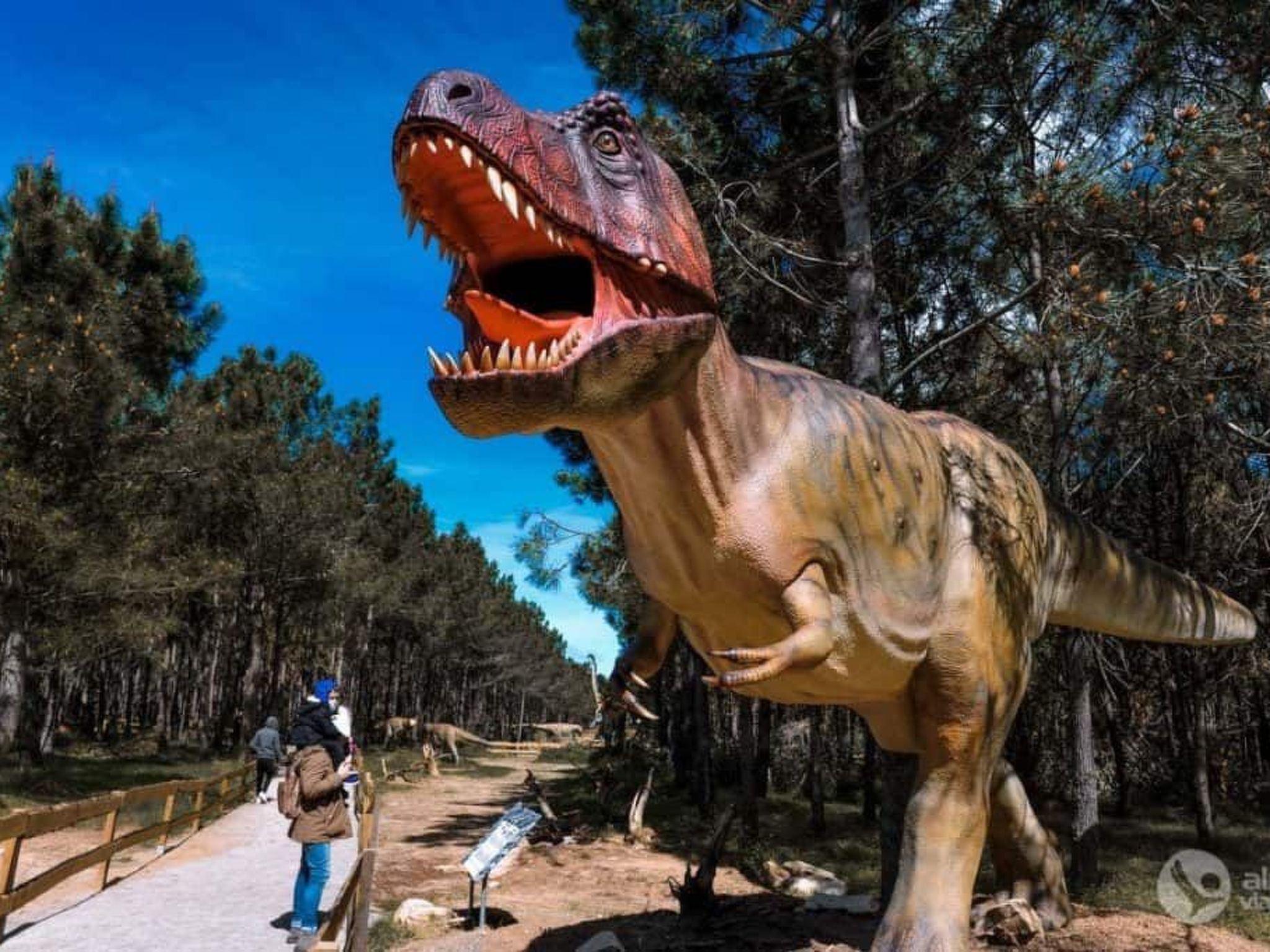 Haus Menezes - Draußen