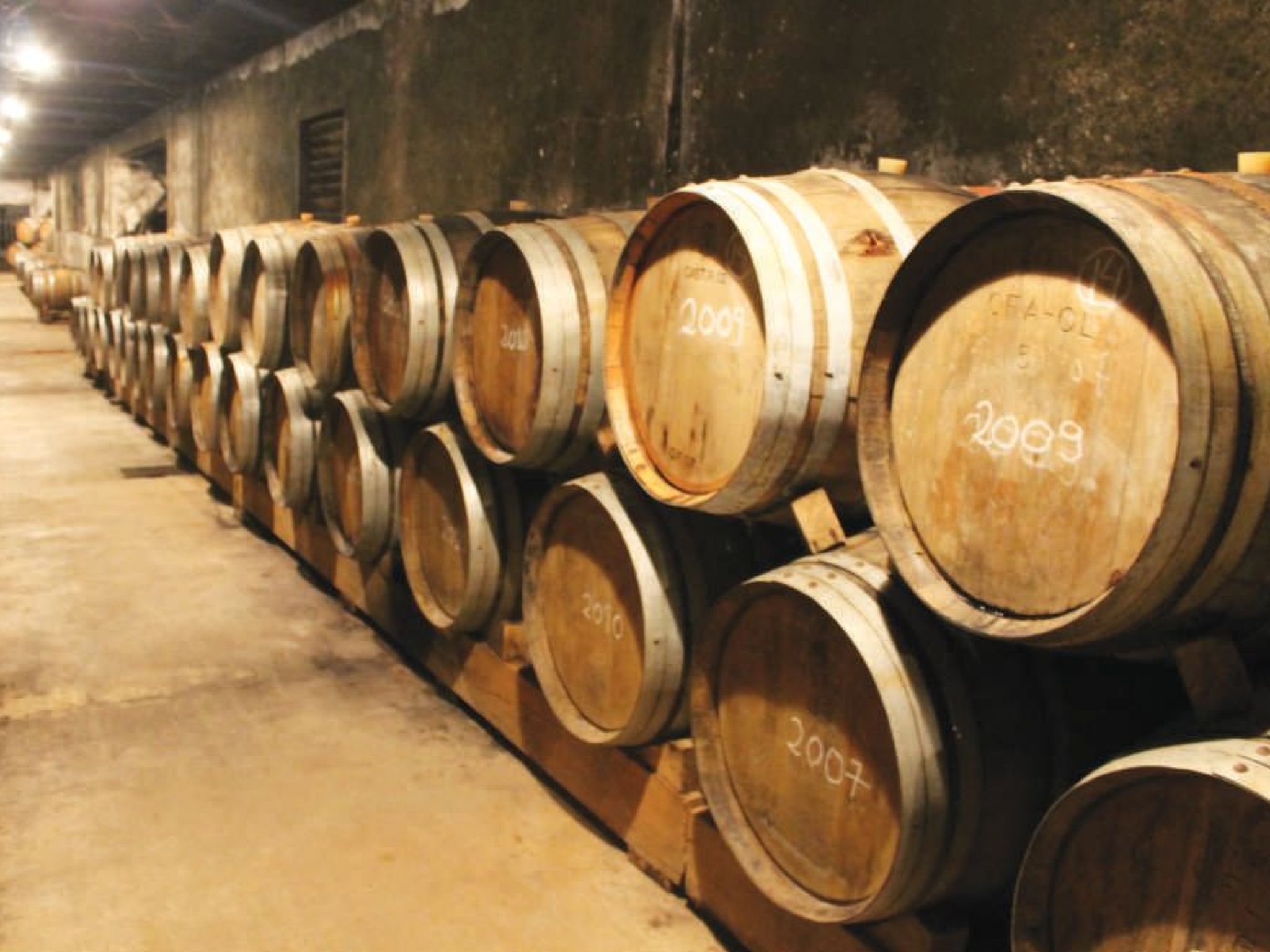 Haus Menezes - Draußen