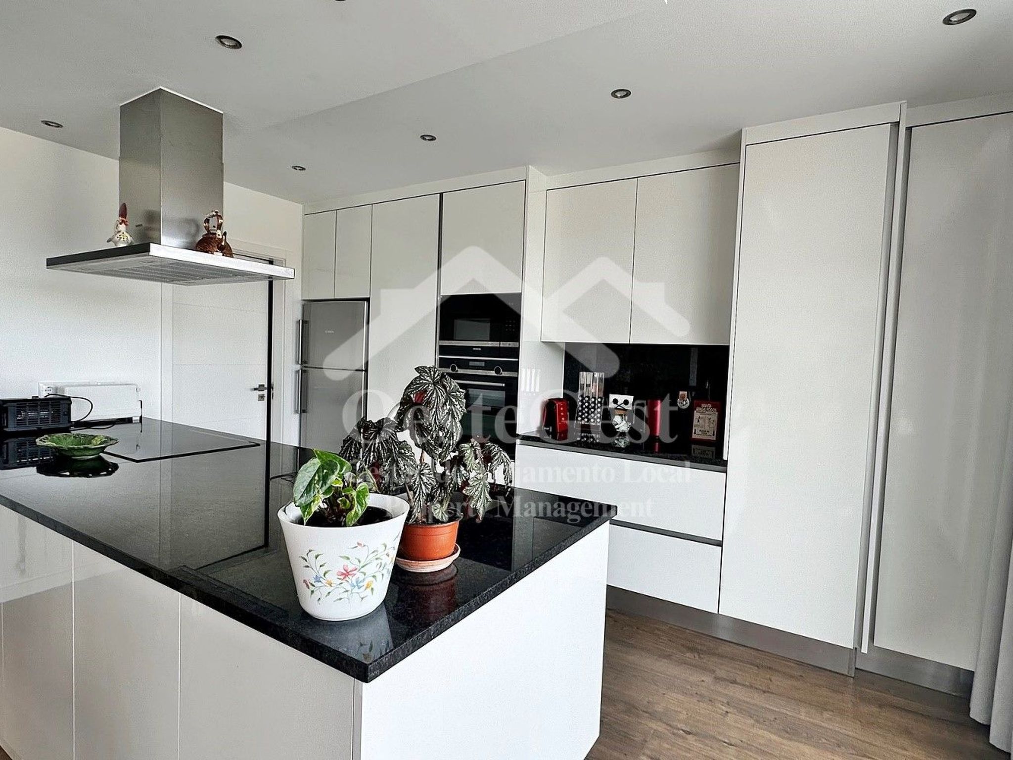 Magnolienhaus-Image-tags.info