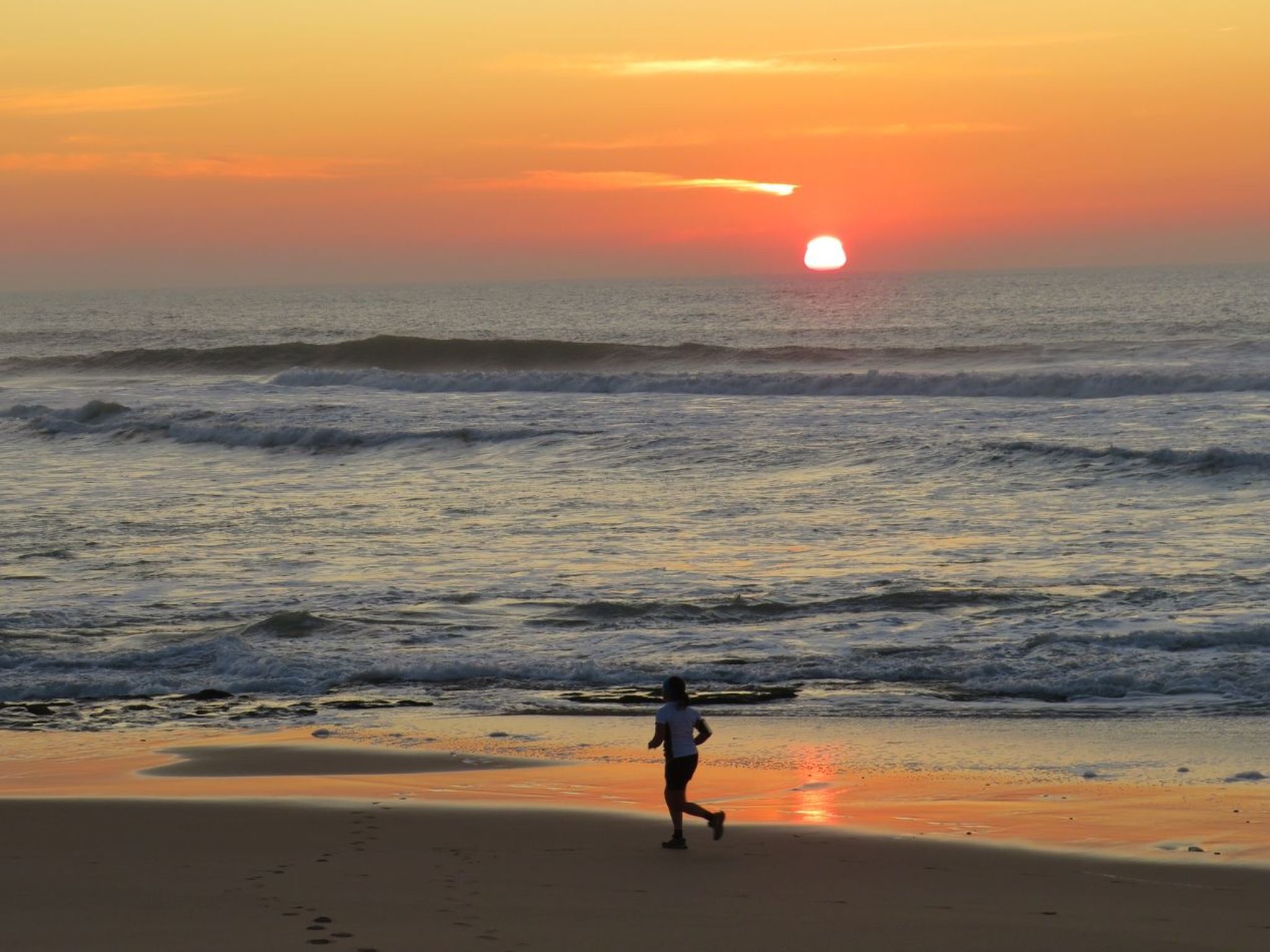 Magnolienhaus-Image-tags.info