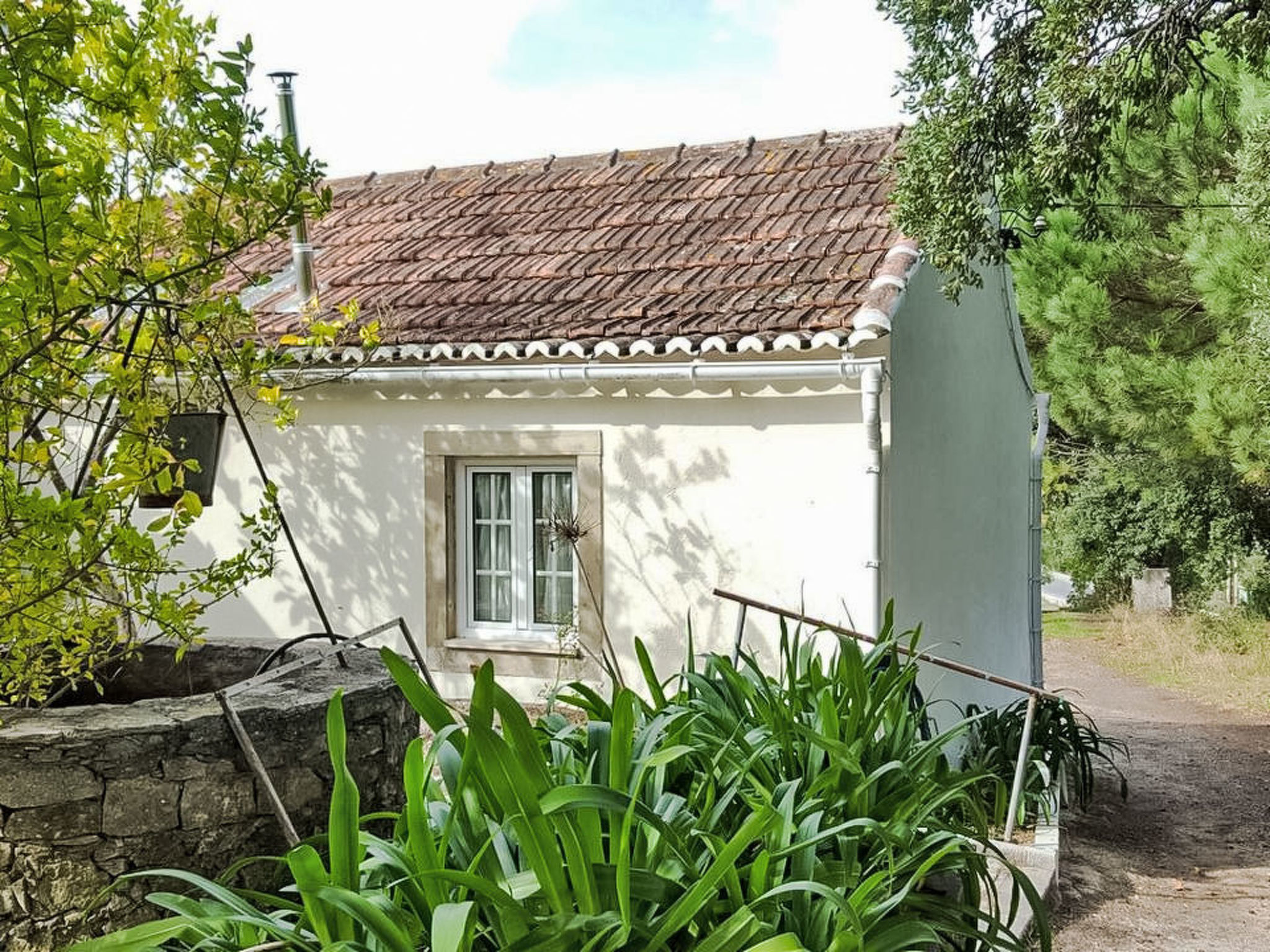 Haus in einem Bauernhof zwischen Weinbergen 1 - Buiten