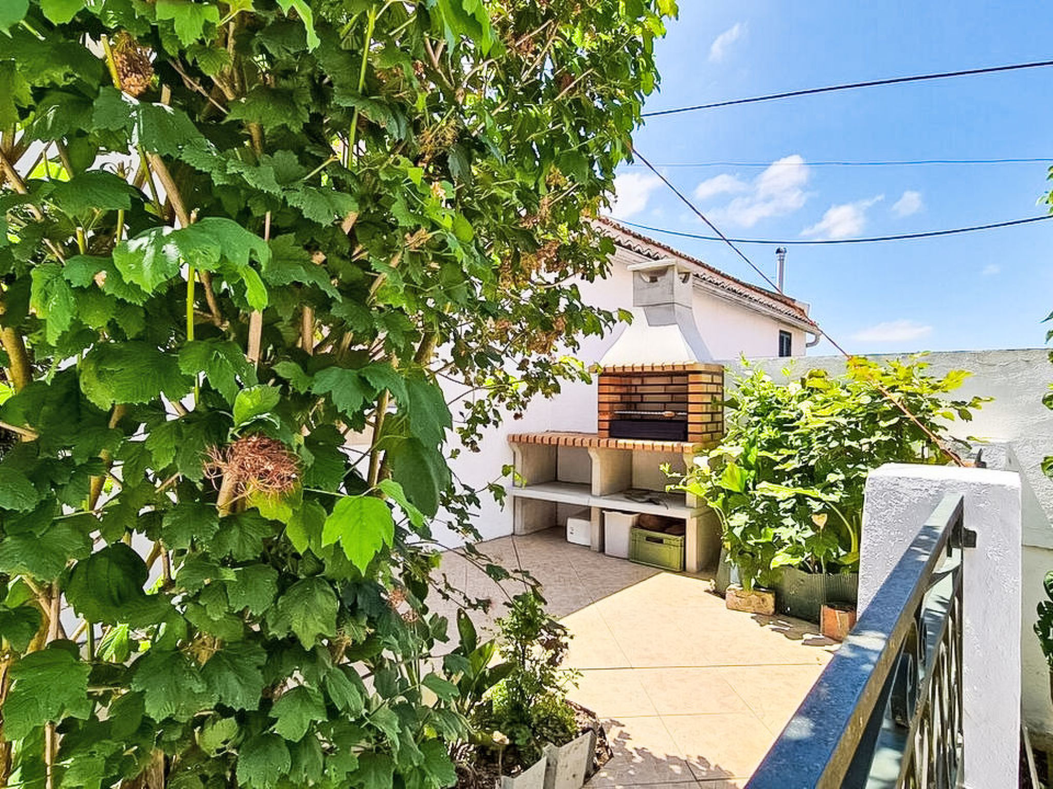 Haus in einem Bauernhof zwischen Weinbergen 1 - Buiten