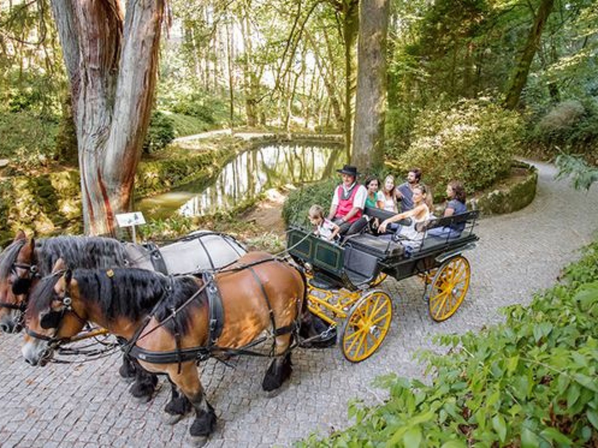 Schöne Wohnung in Azenhas Mar mit großem Garten