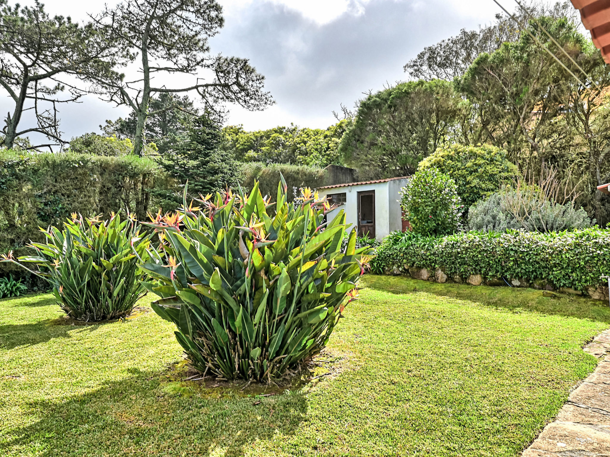 Haus in Colares mit privatem Pool - Buiten
