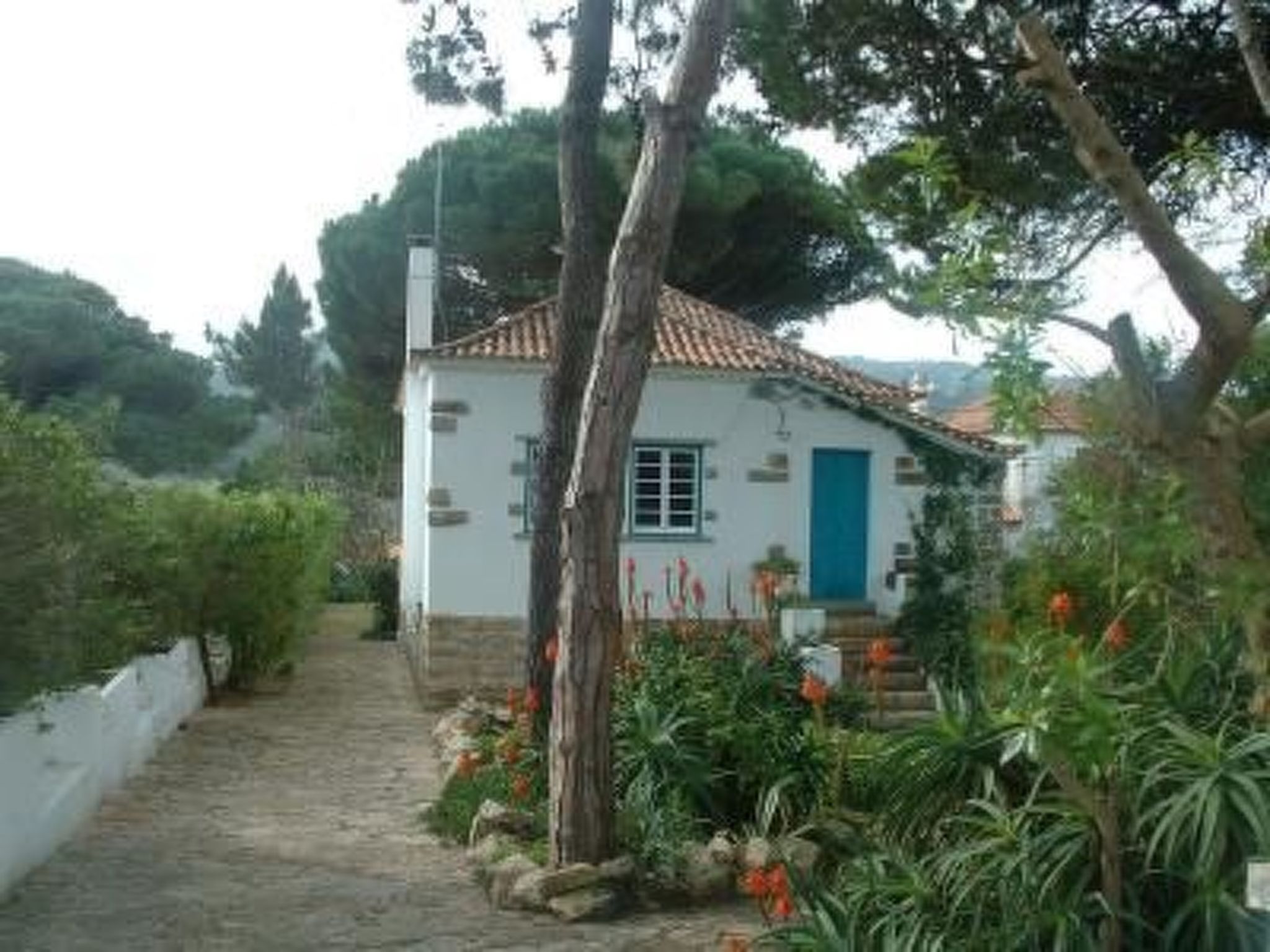 "Casa Mili" mit Kamin-Binnen